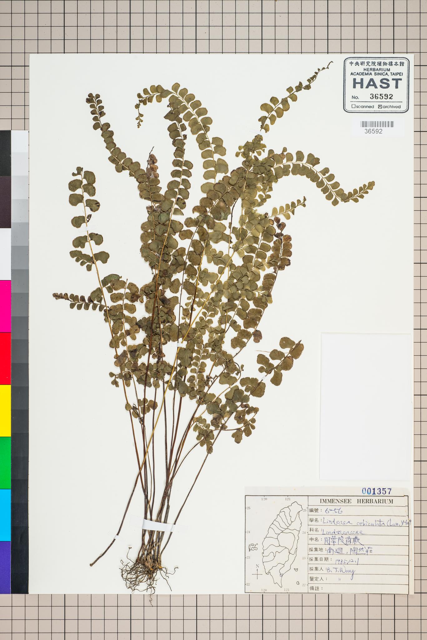 Sample image for viewer