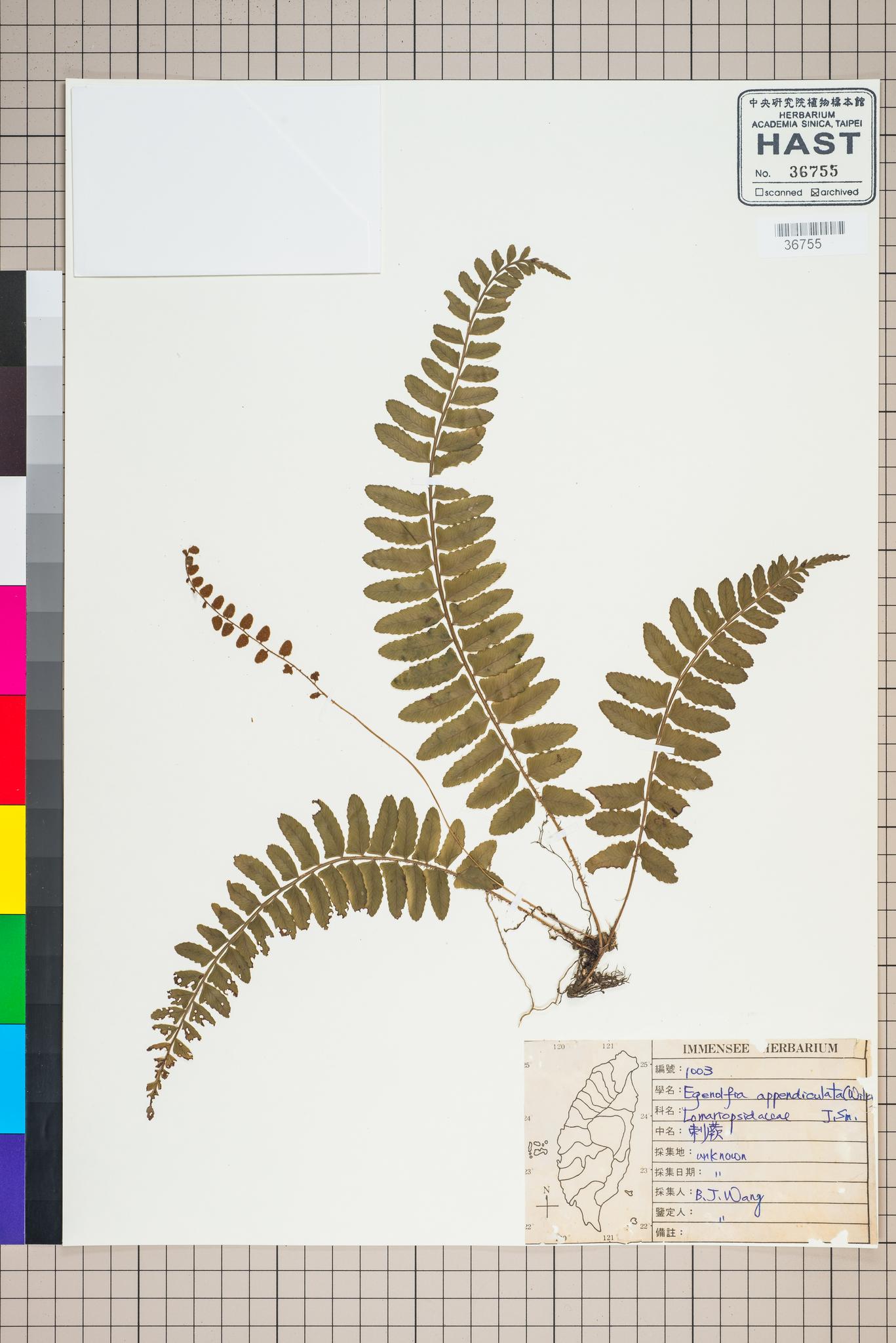 Sample image for viewer