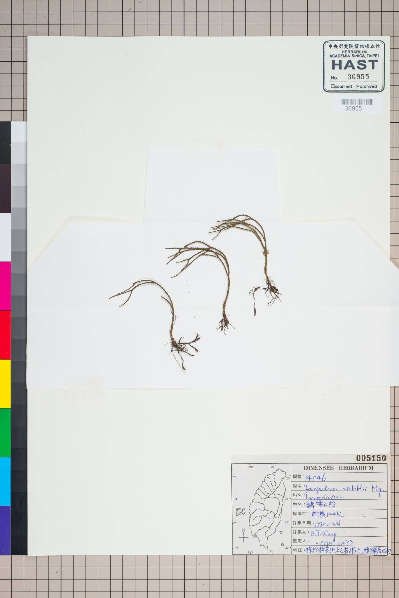 Sample image for viewer