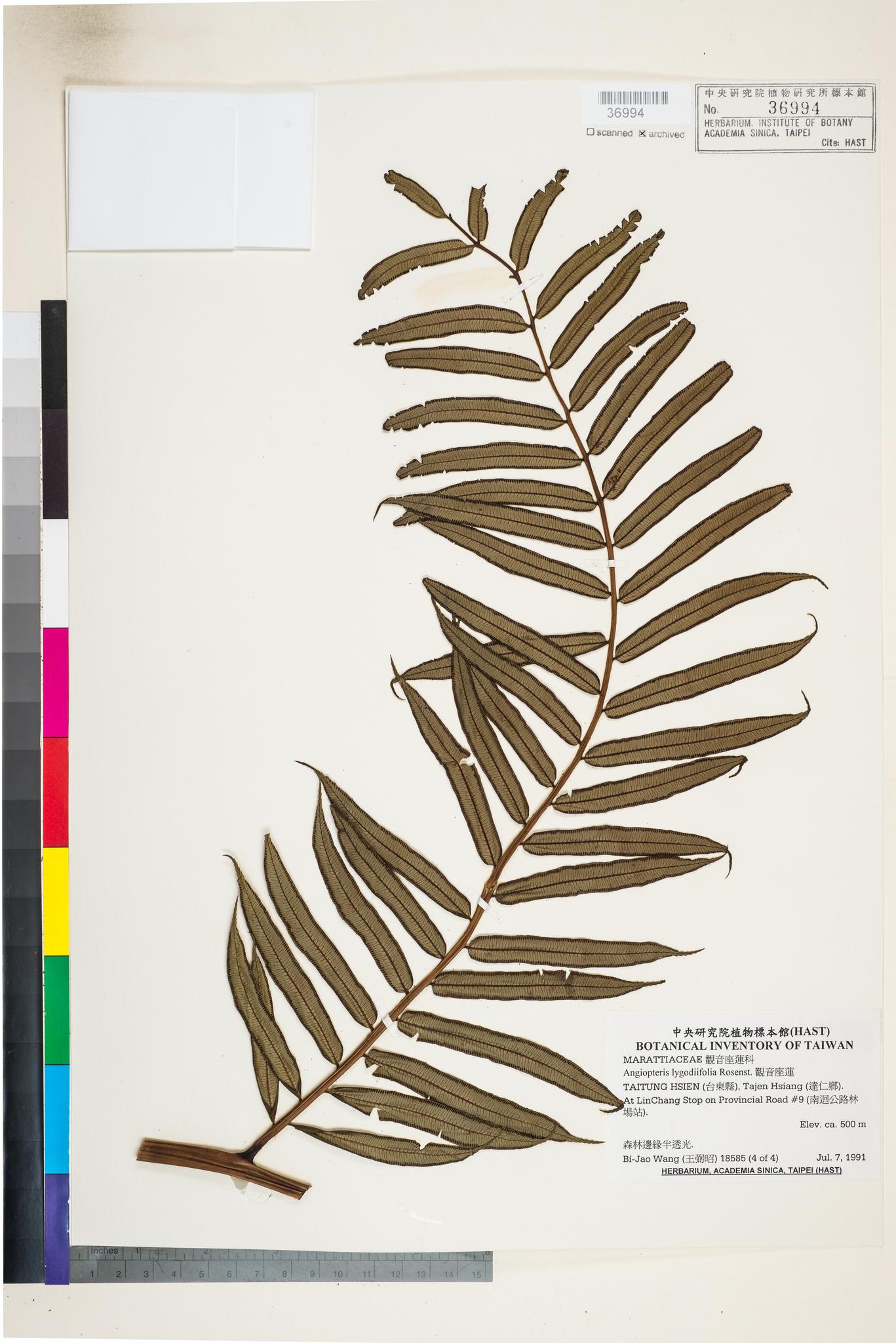 Sample image for viewer