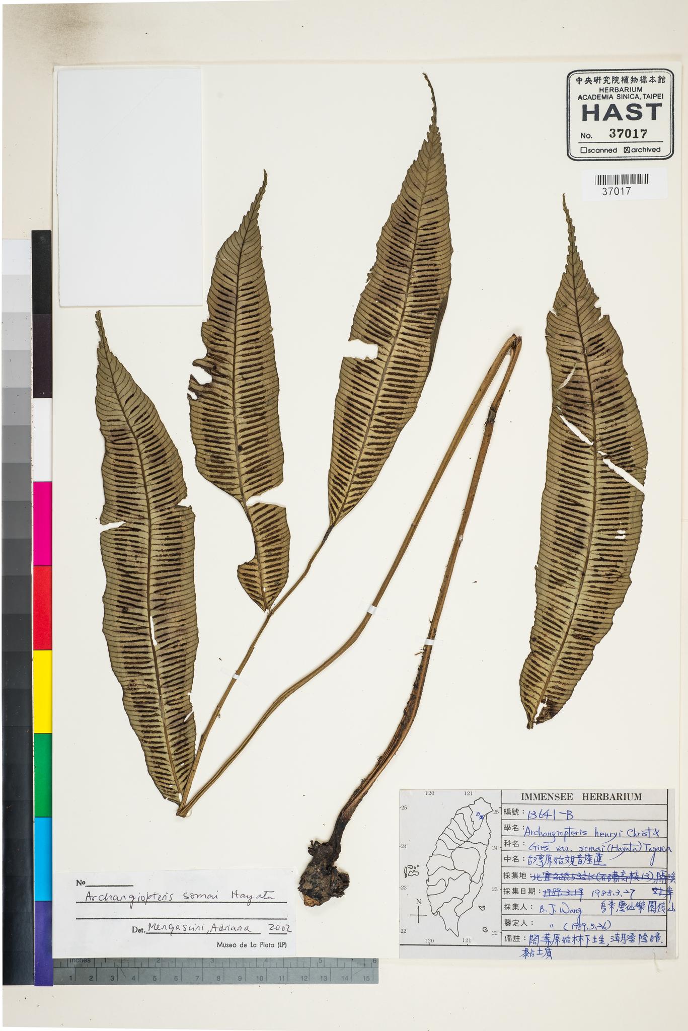 Sample image for viewer