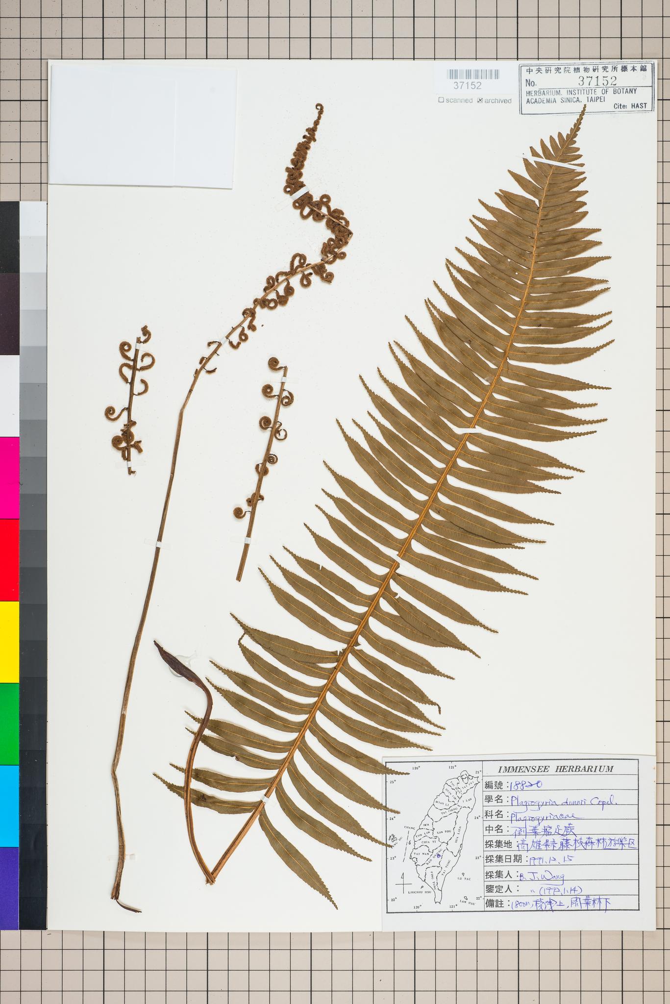 Sample image for viewer