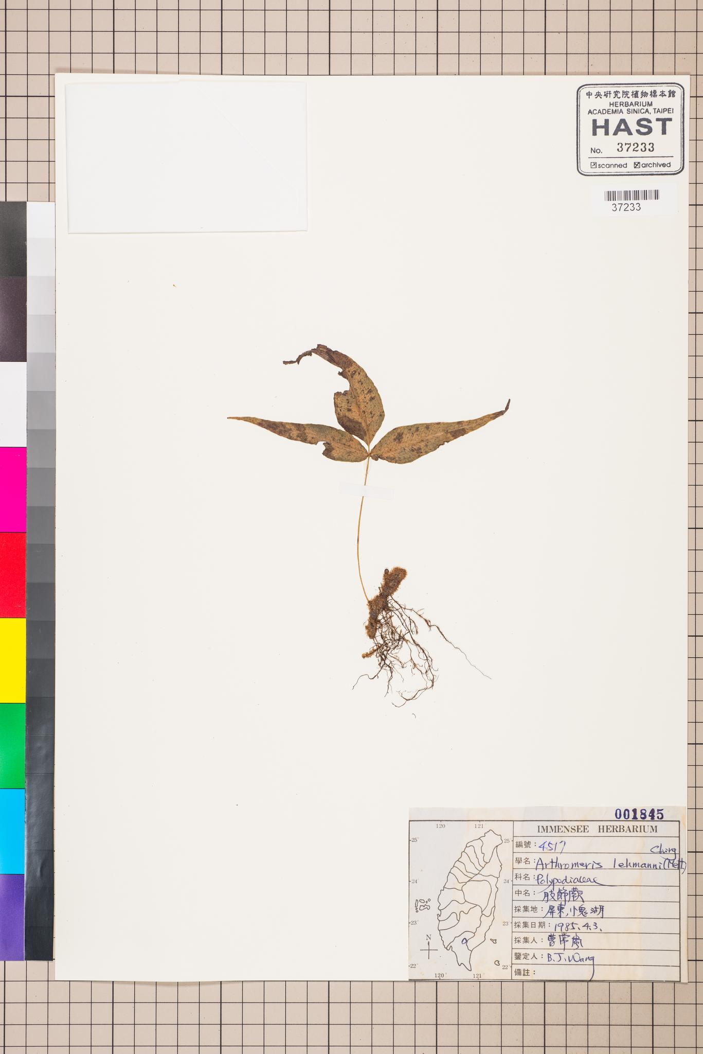 Sample image for viewer