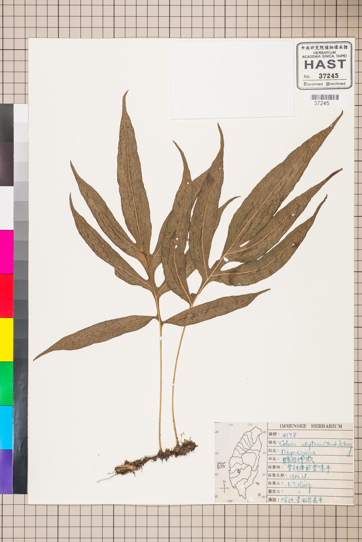 Sample image for viewer