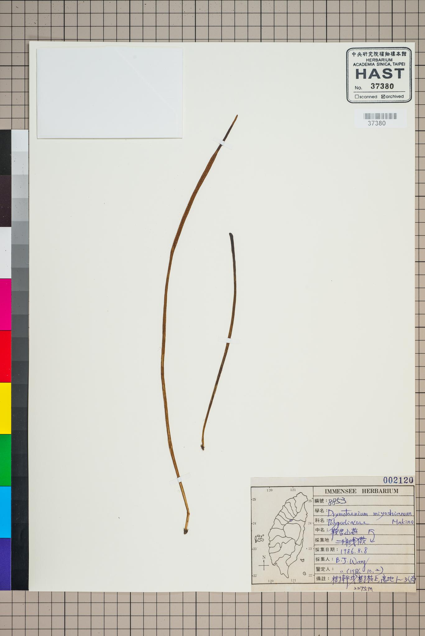 Sample image for viewer