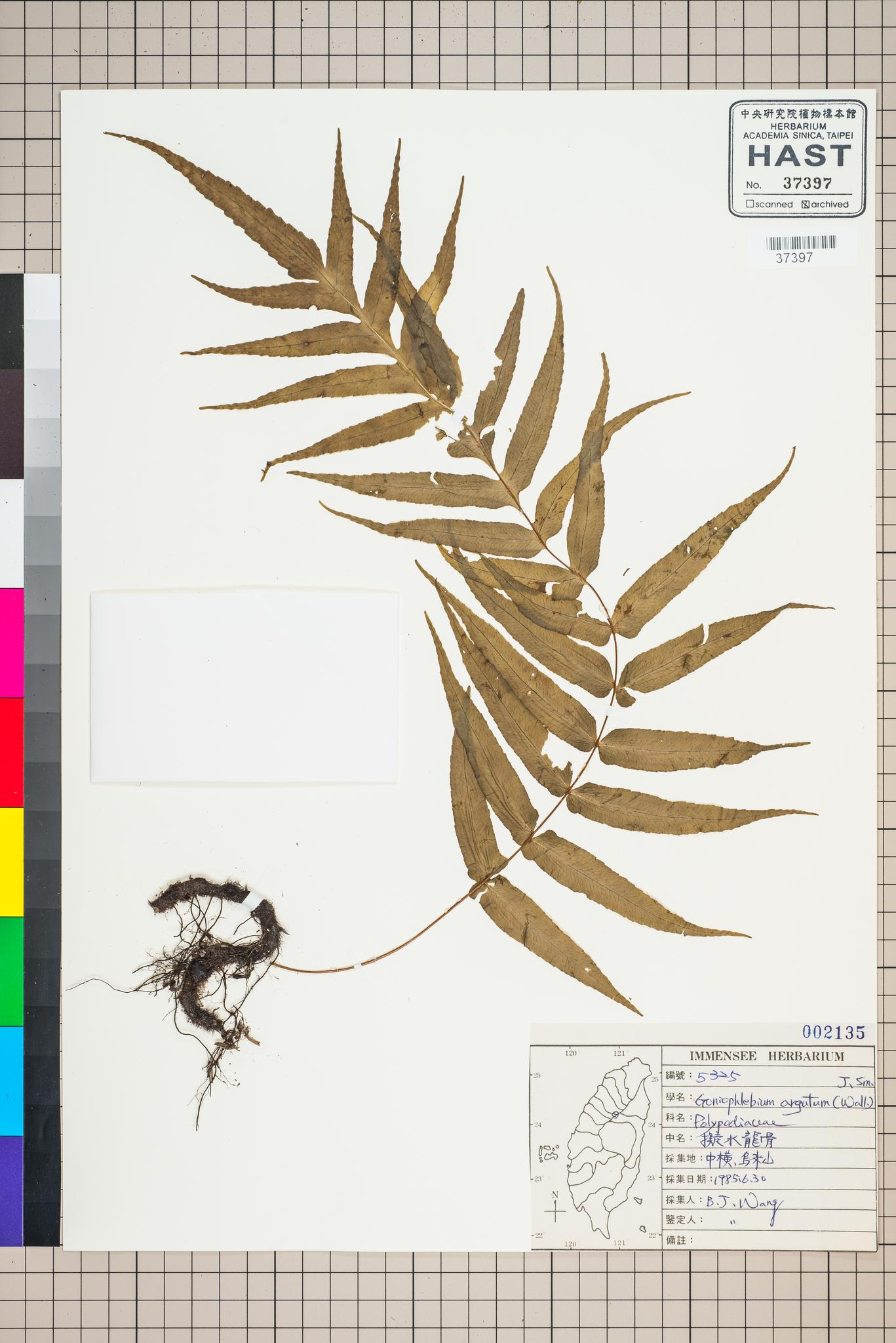 Sample image for viewer