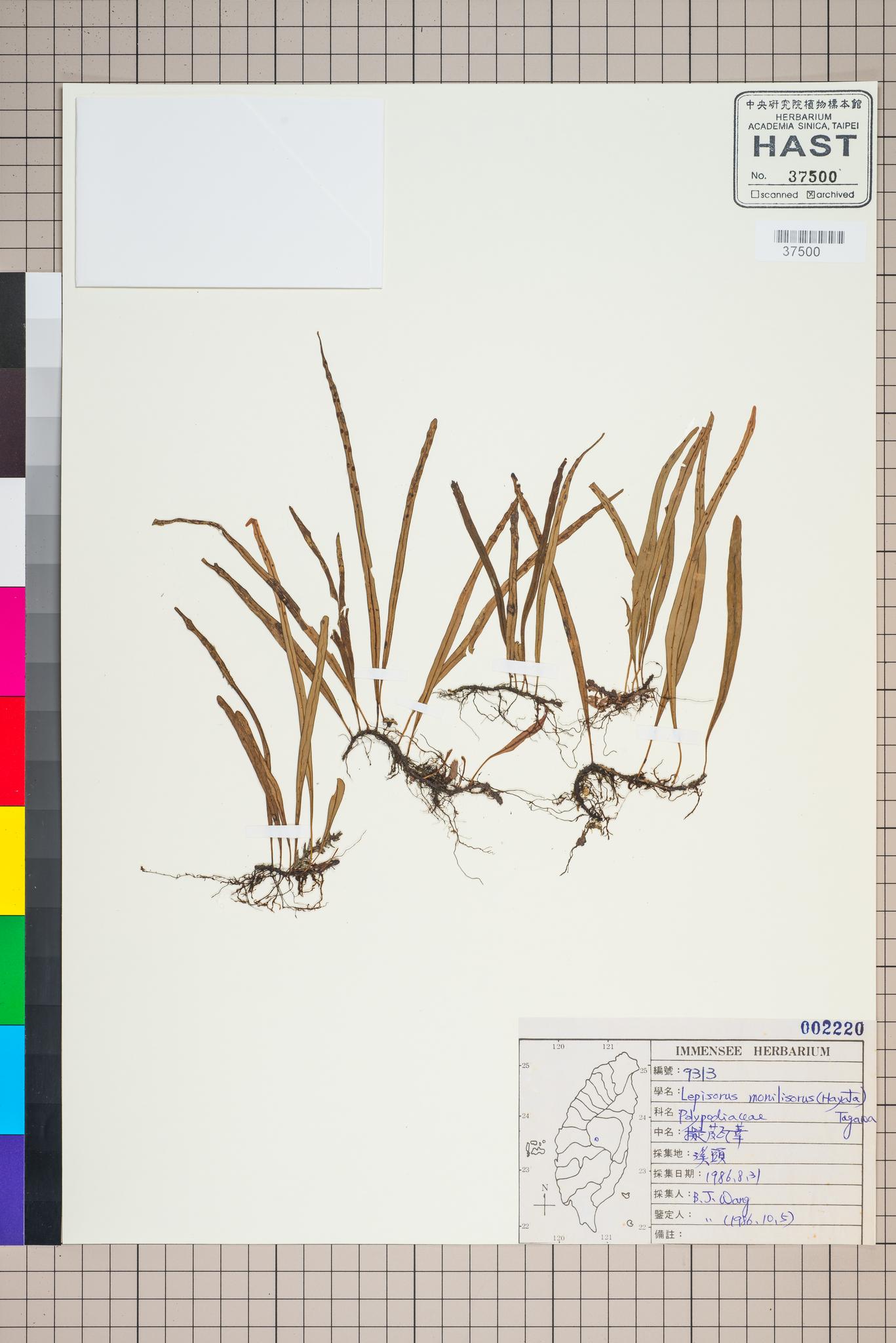 Sample image for viewer