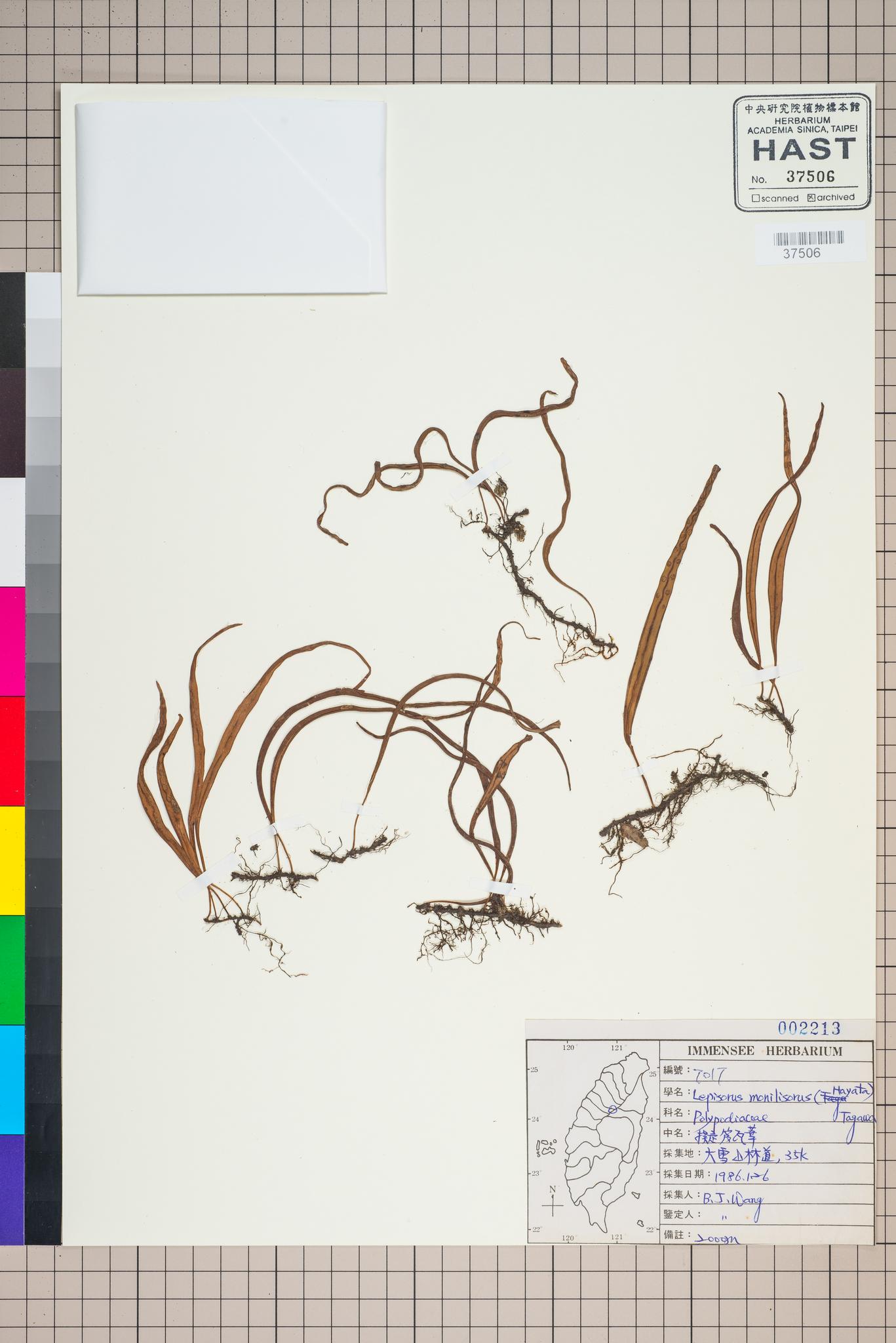 Sample image for viewer