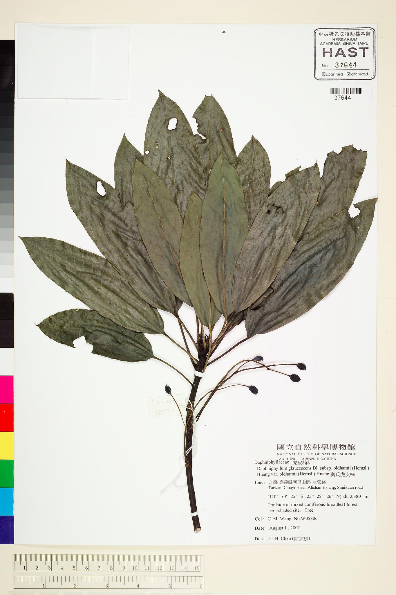 Sample image for viewer