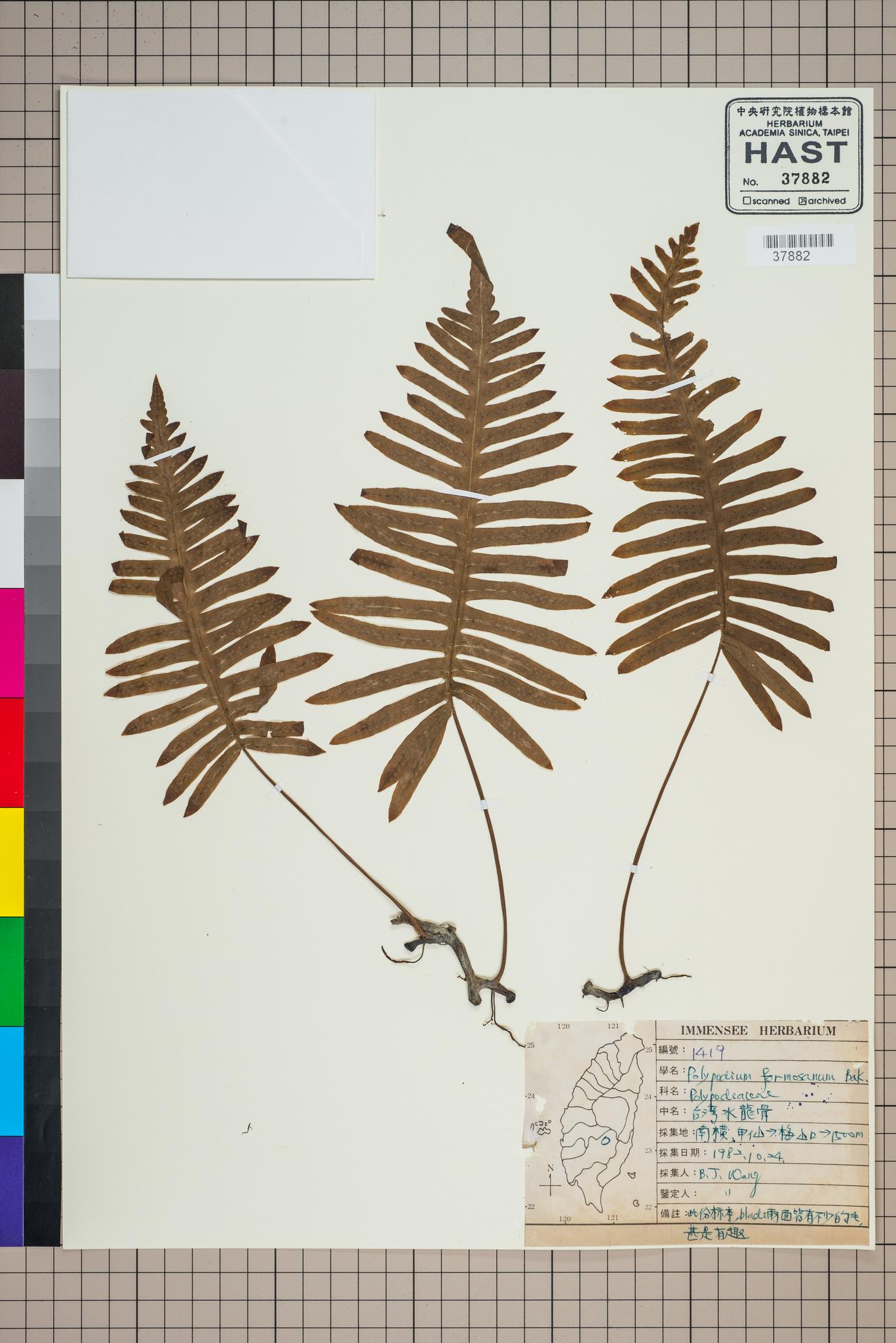 Sample image for viewer