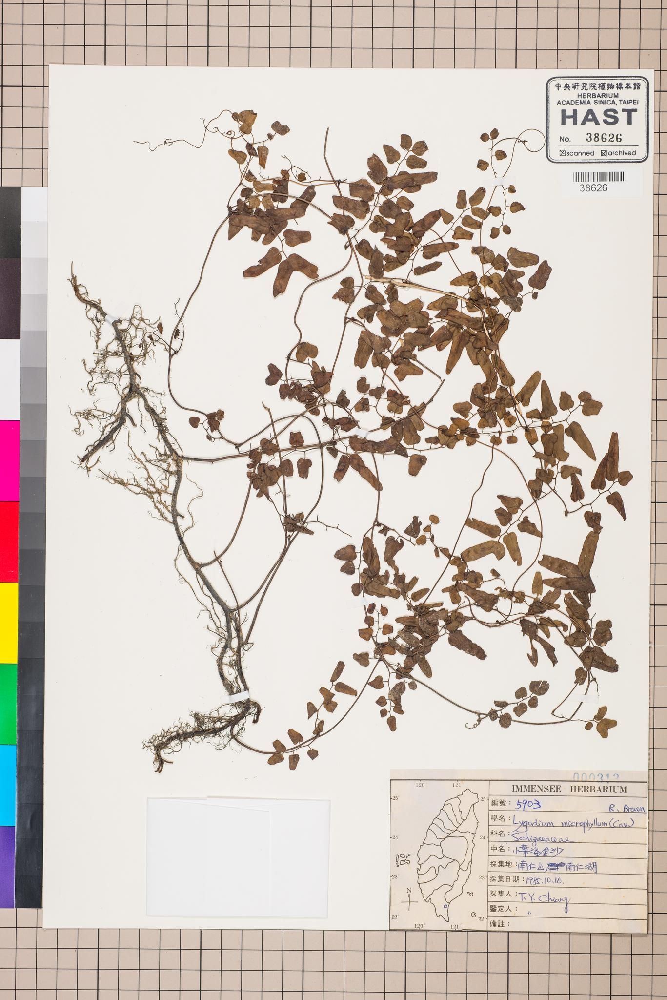 Sample image for viewer