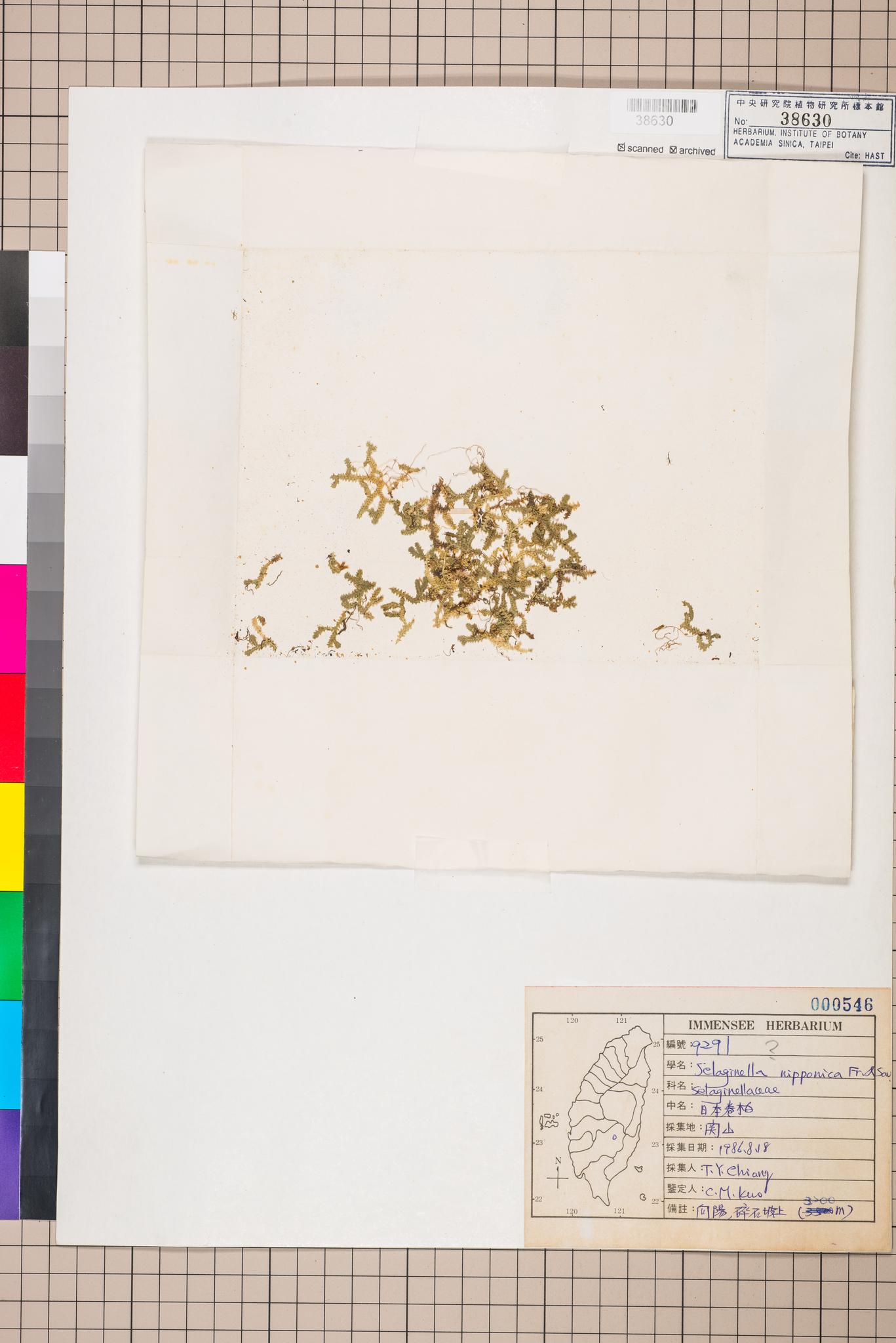 Sample image for viewer