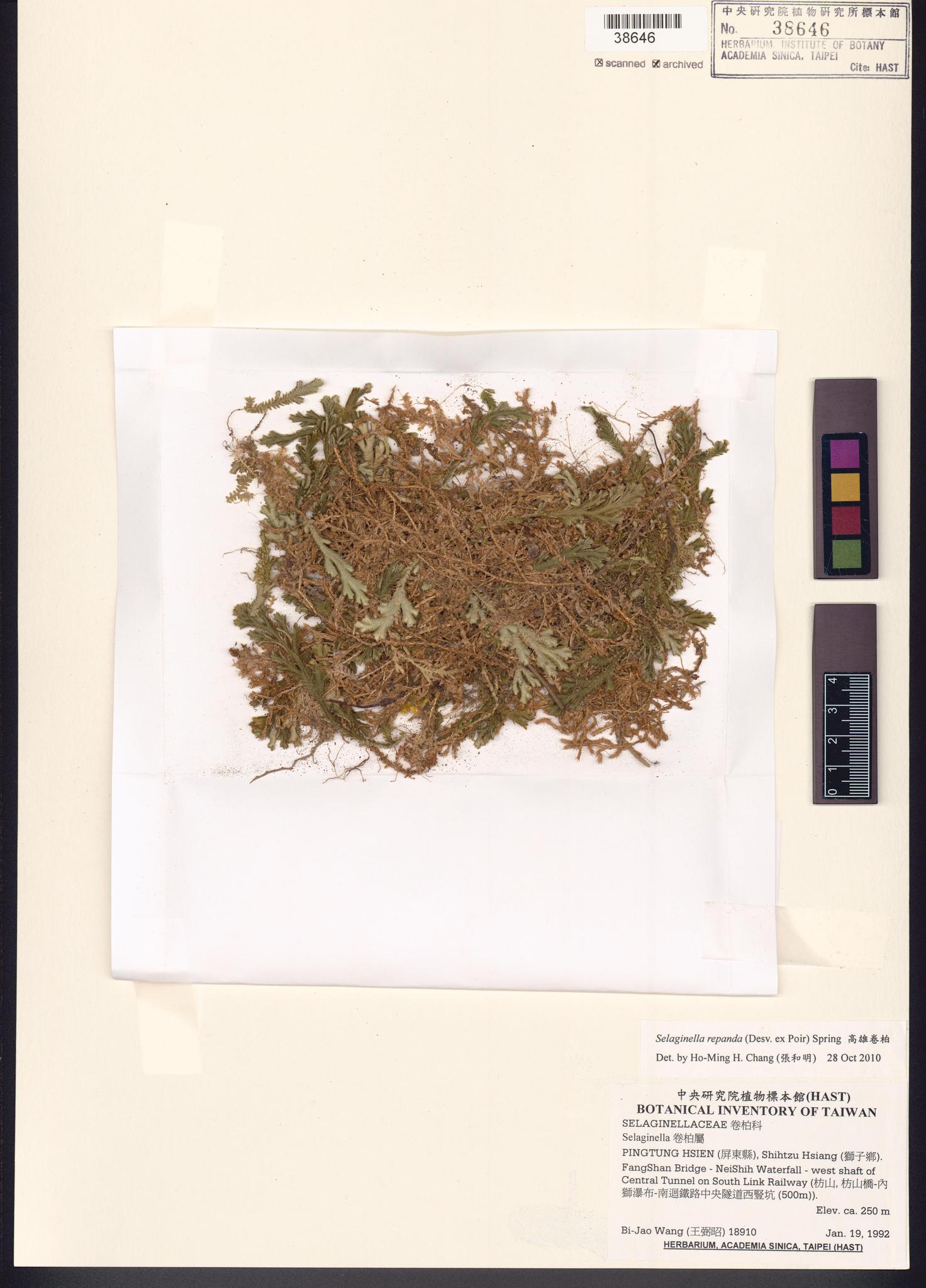 Sample image for viewer