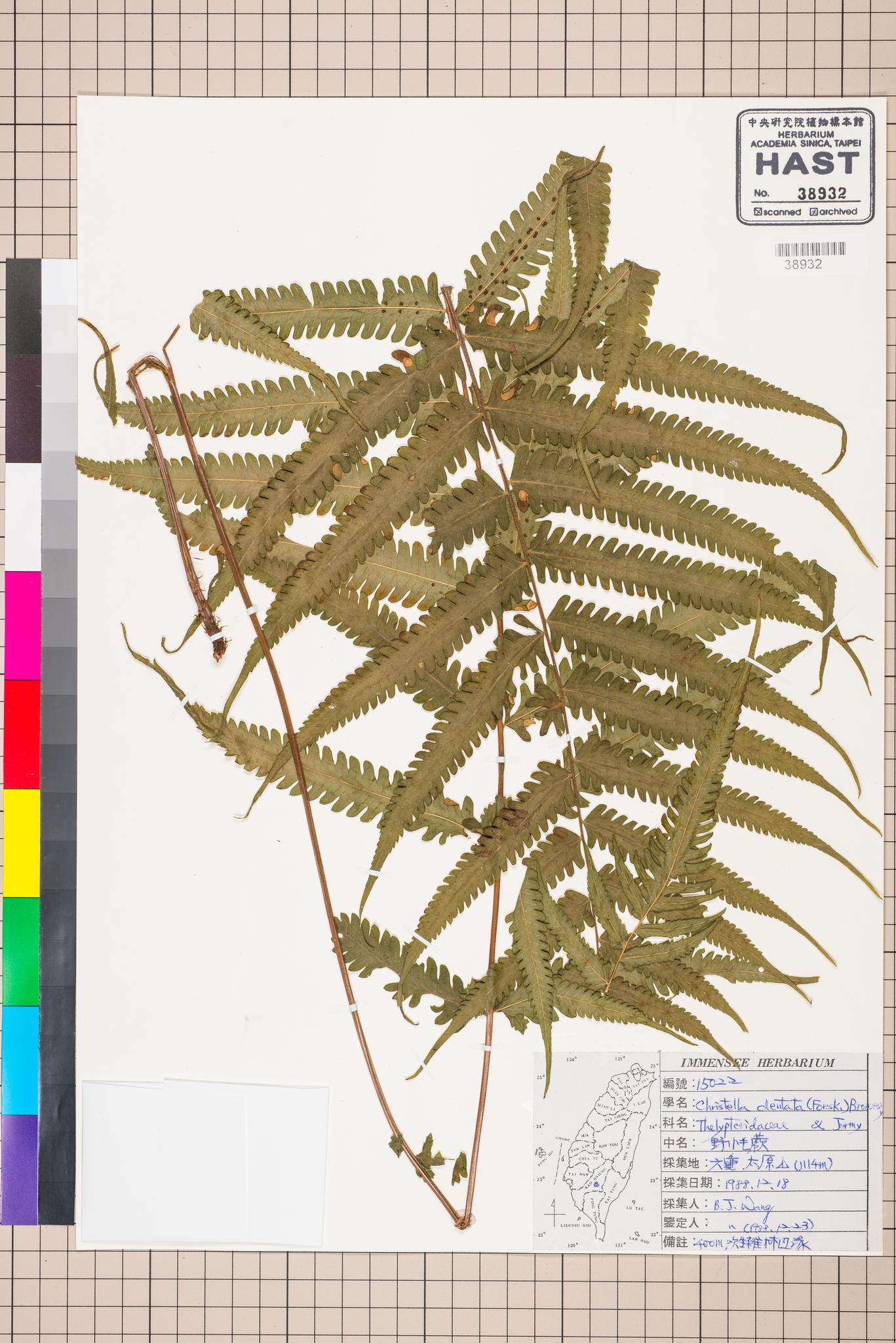 Sample image for viewer