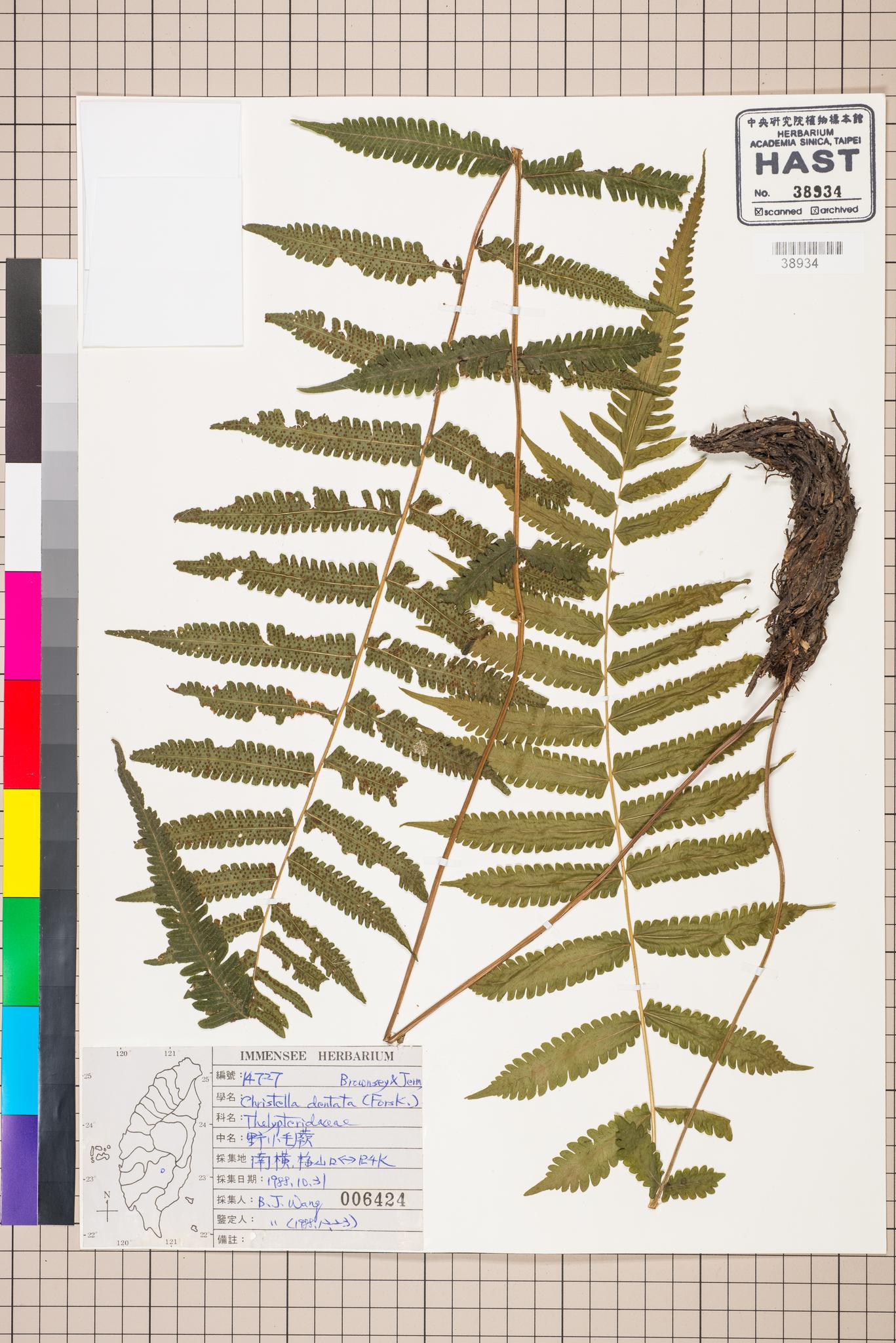 Sample image for viewer