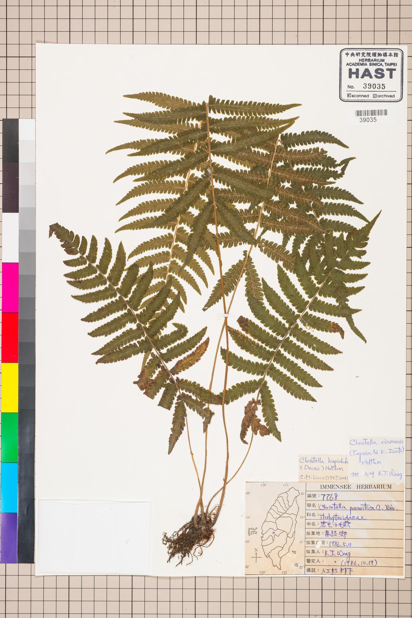 Specimen image