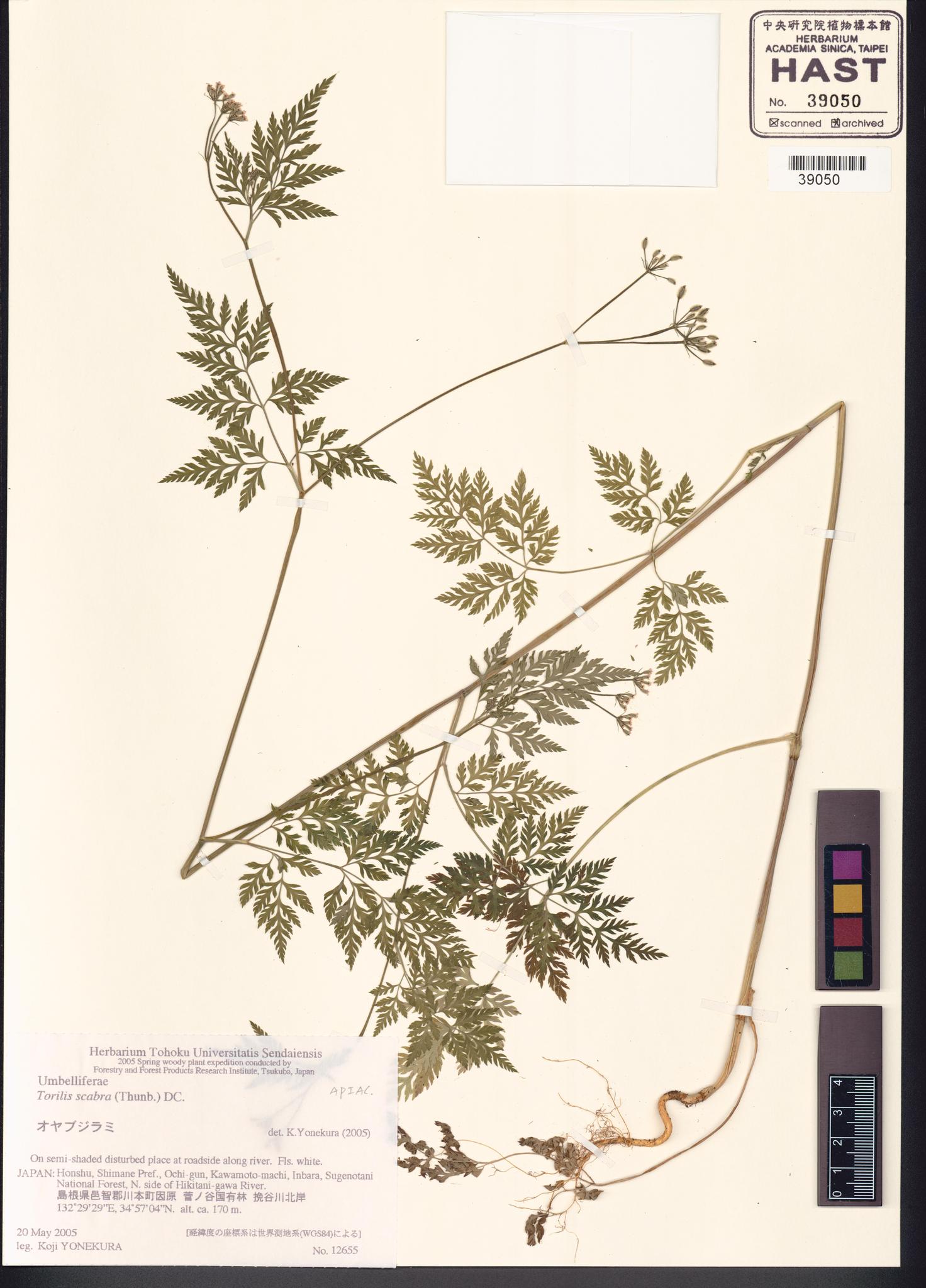 Sample image for viewer