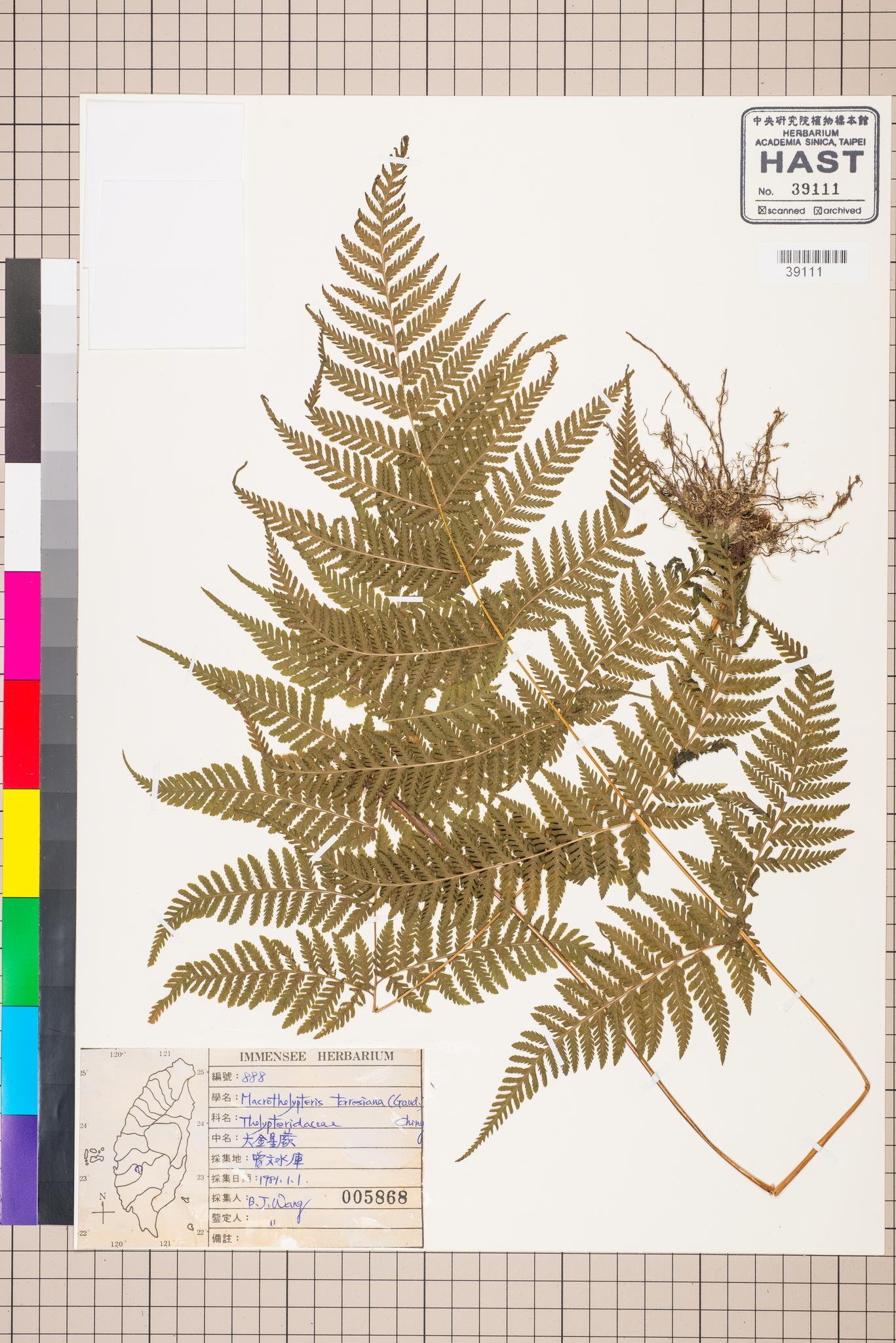 Sample image for viewer