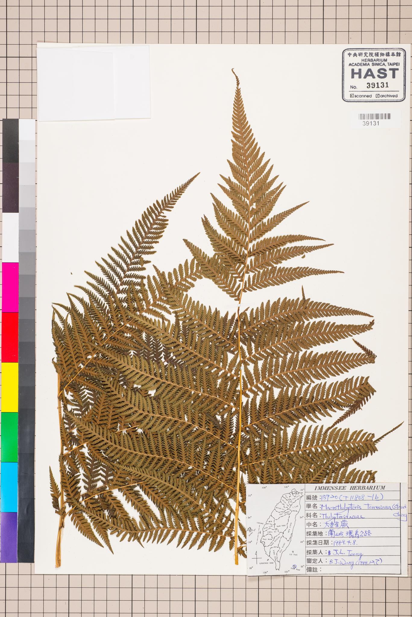 Sample image for viewer