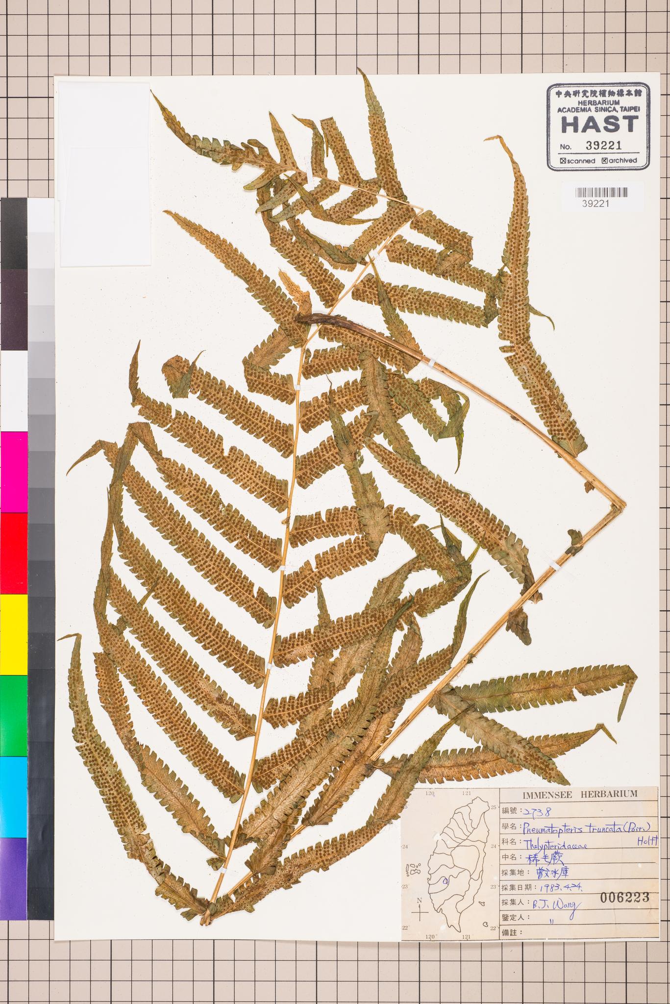 Sample image for viewer