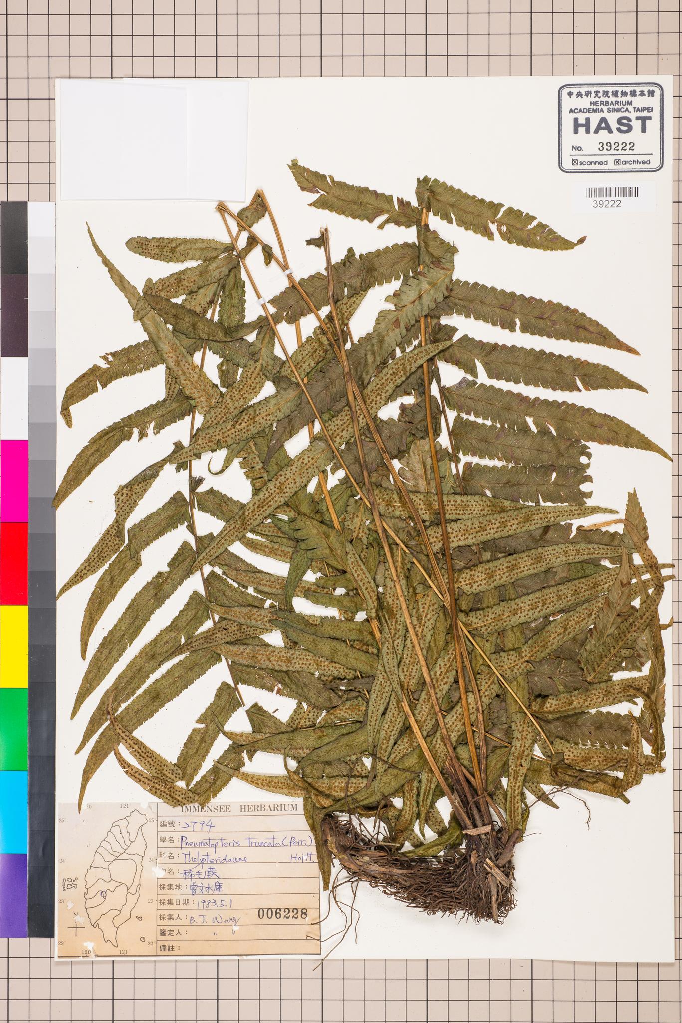 Sample image for viewer