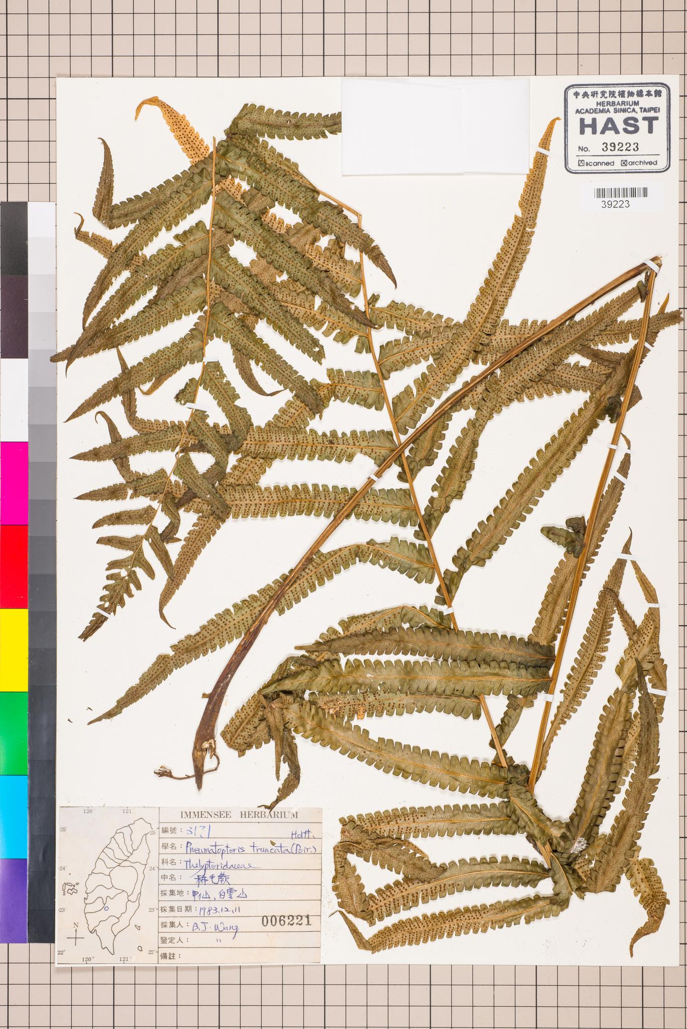 Sample image for viewer