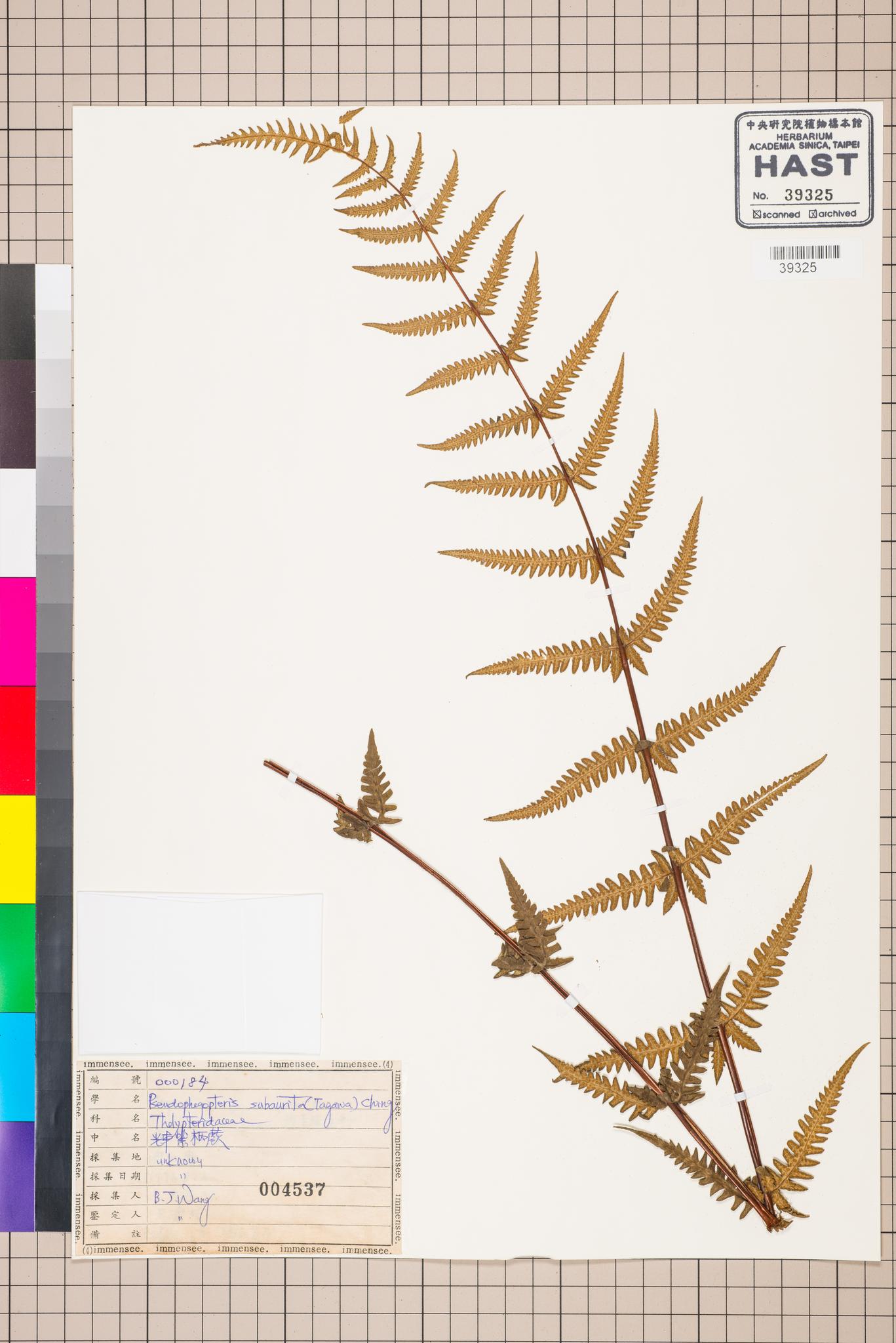 Sample image for viewer