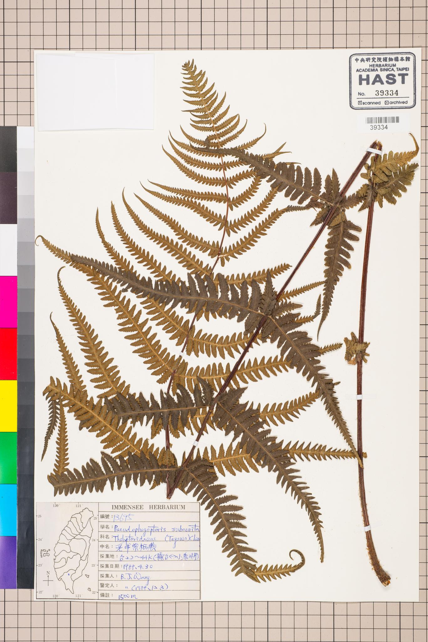 Sample image for viewer