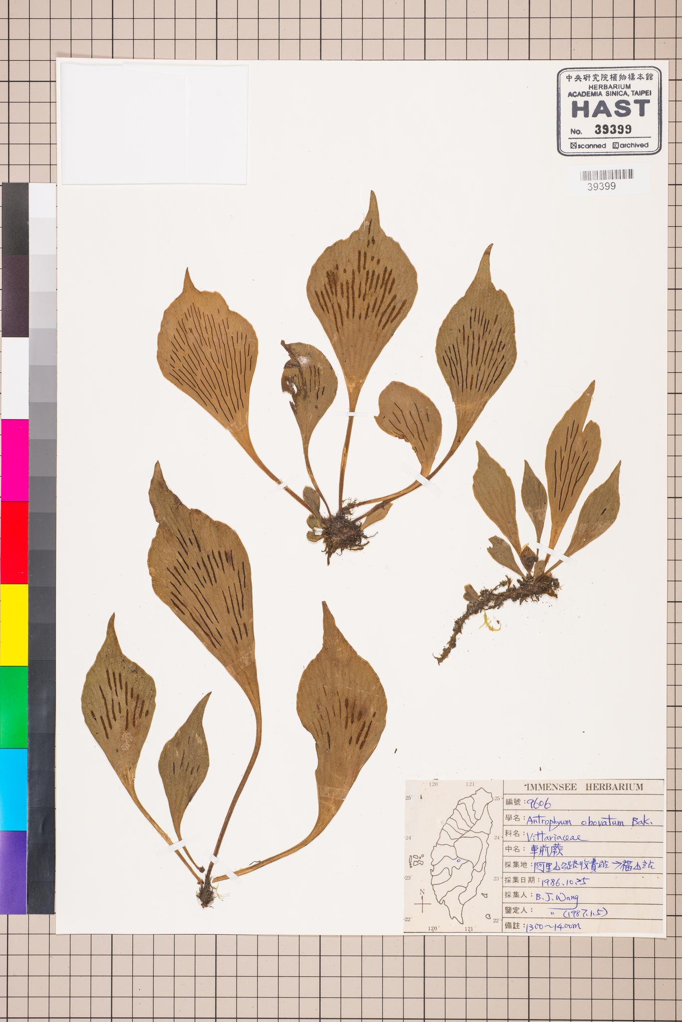 Sample image for viewer