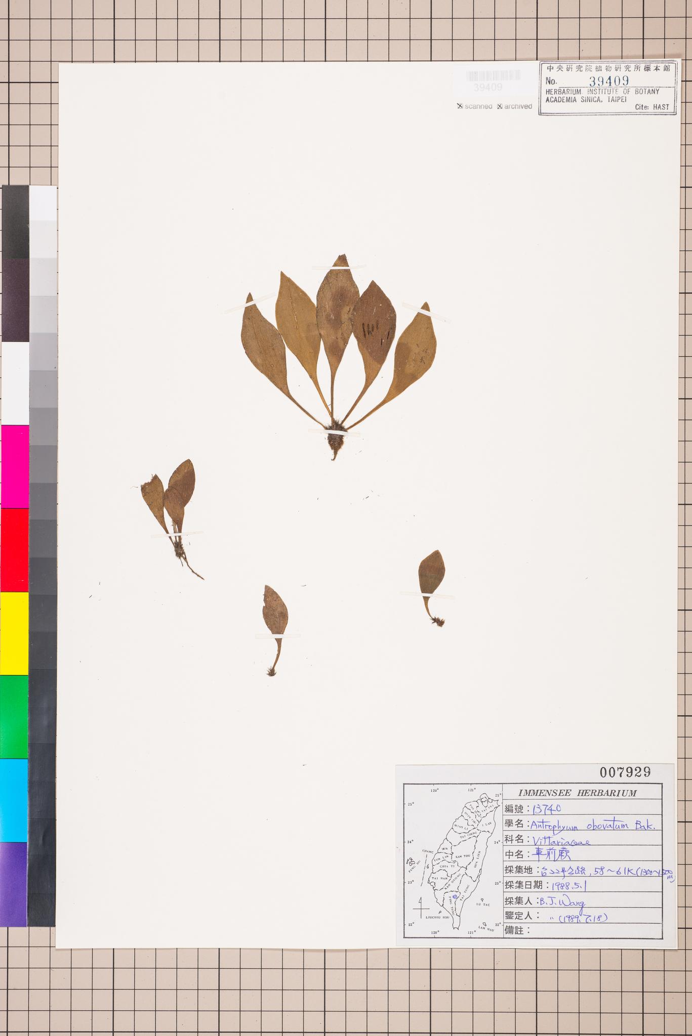 Sample image for viewer