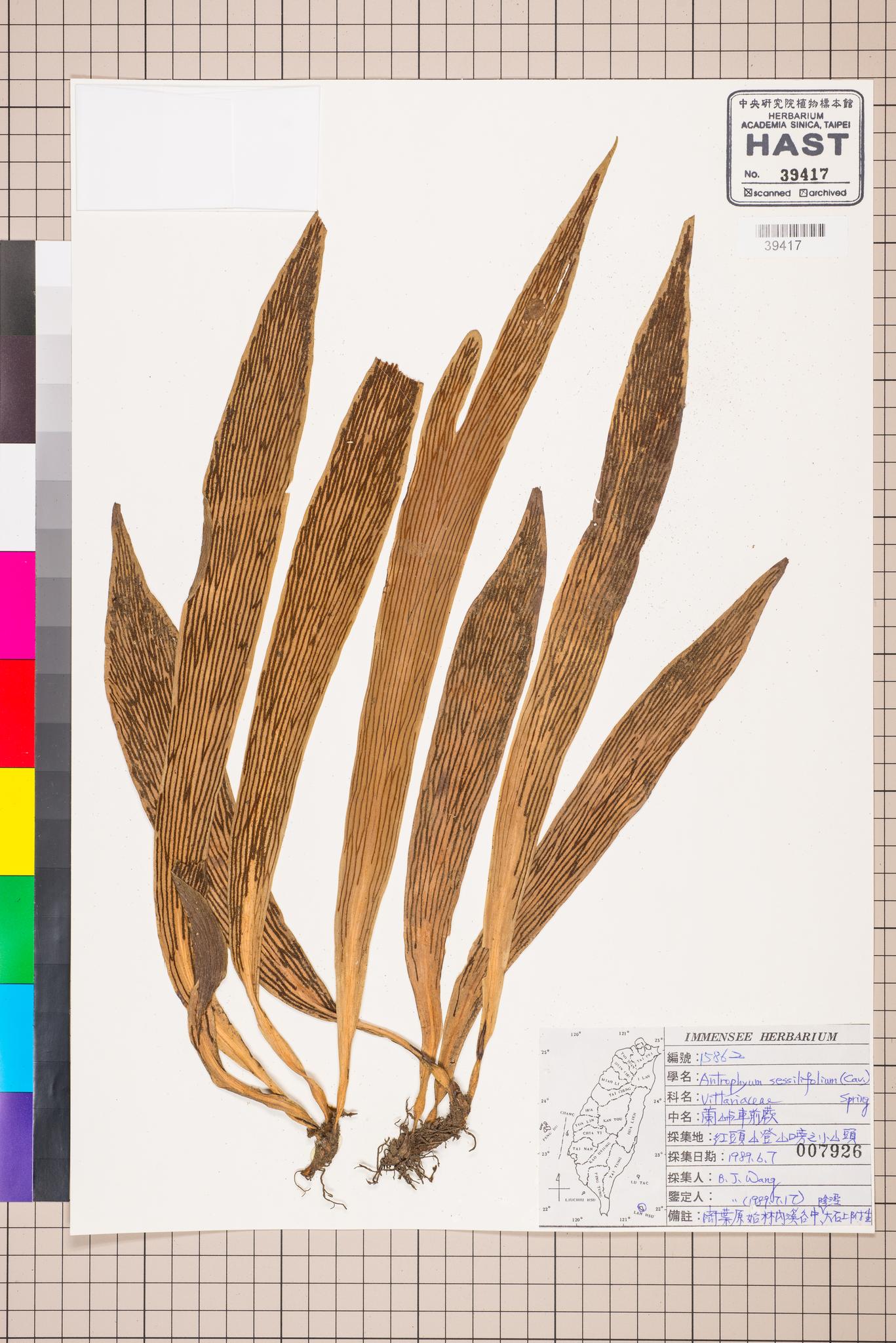 Sample image for viewer