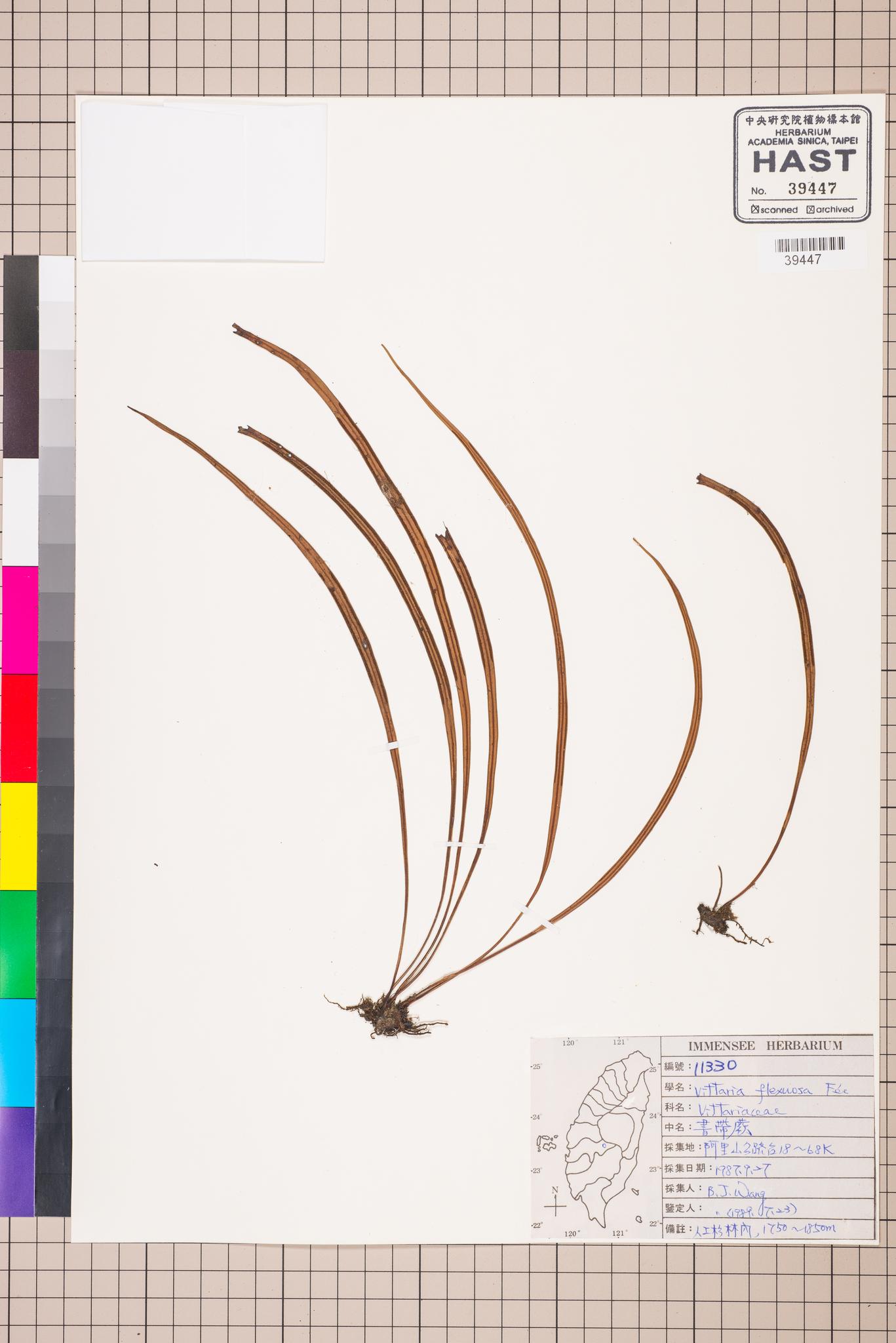 Sample image for viewer