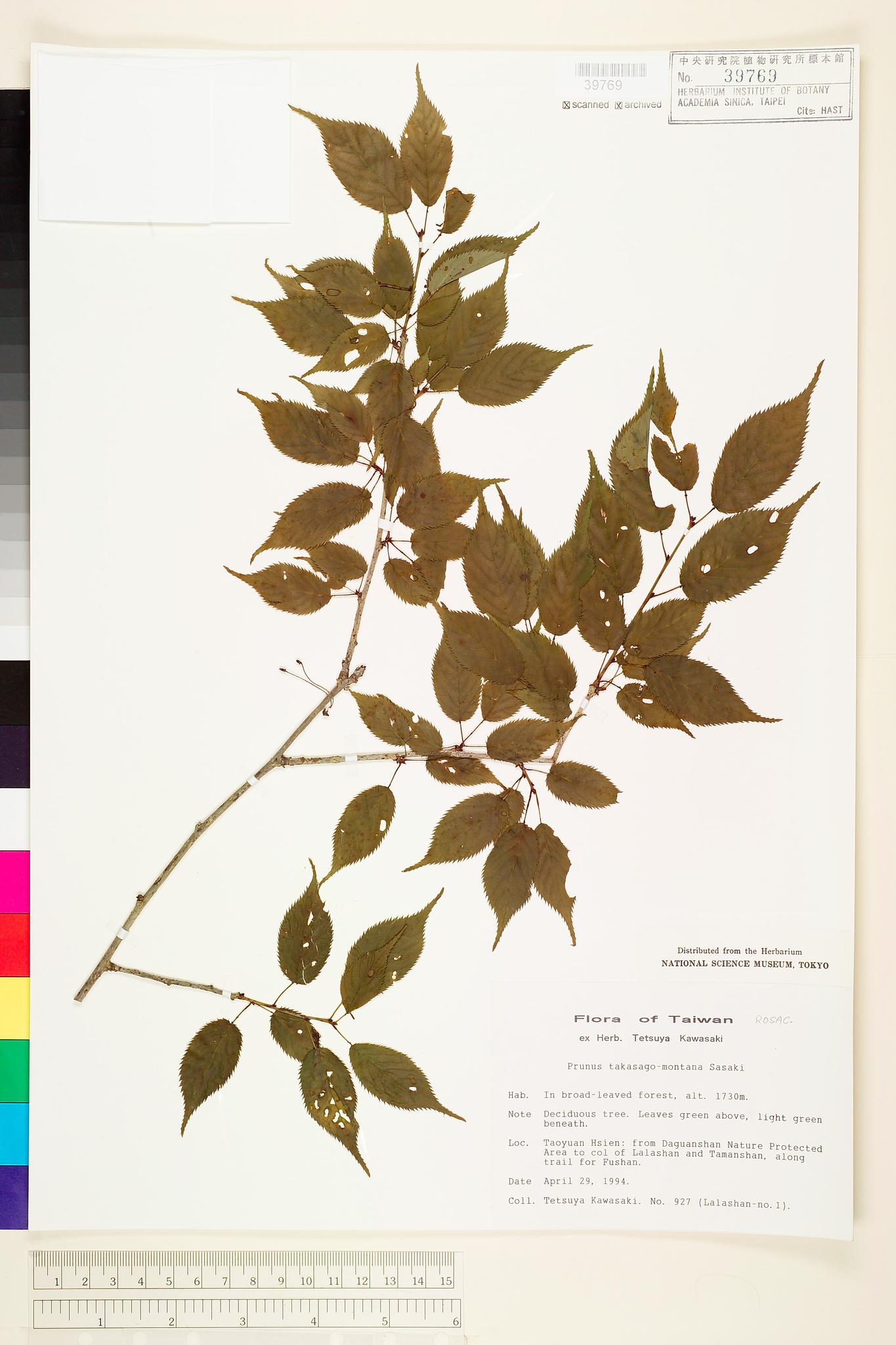 Sample image for viewer