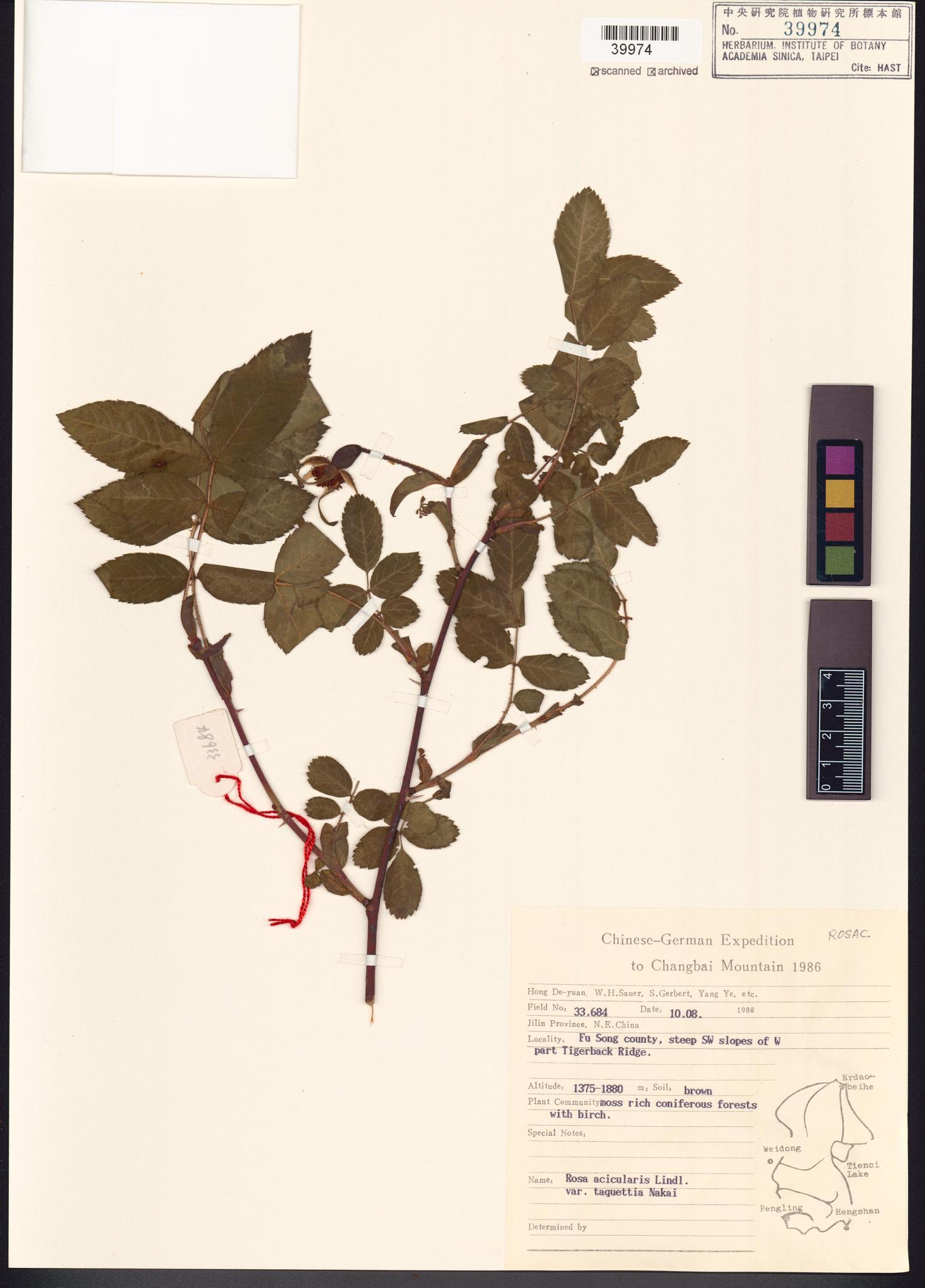 Sample image for viewer