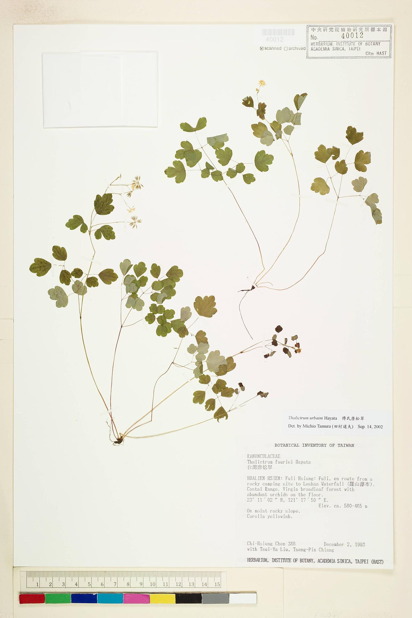 Specimen image