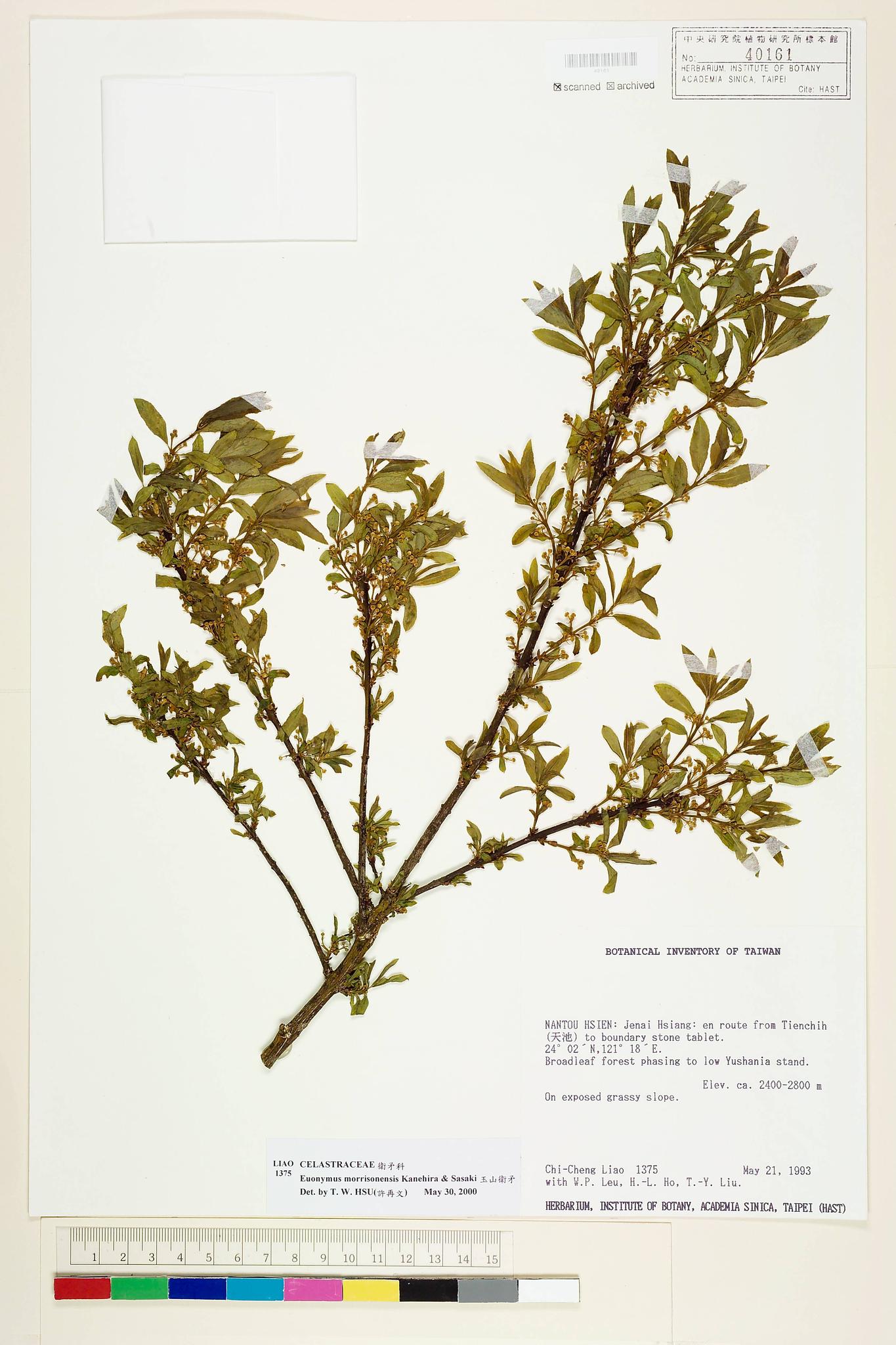 Sample image for viewer