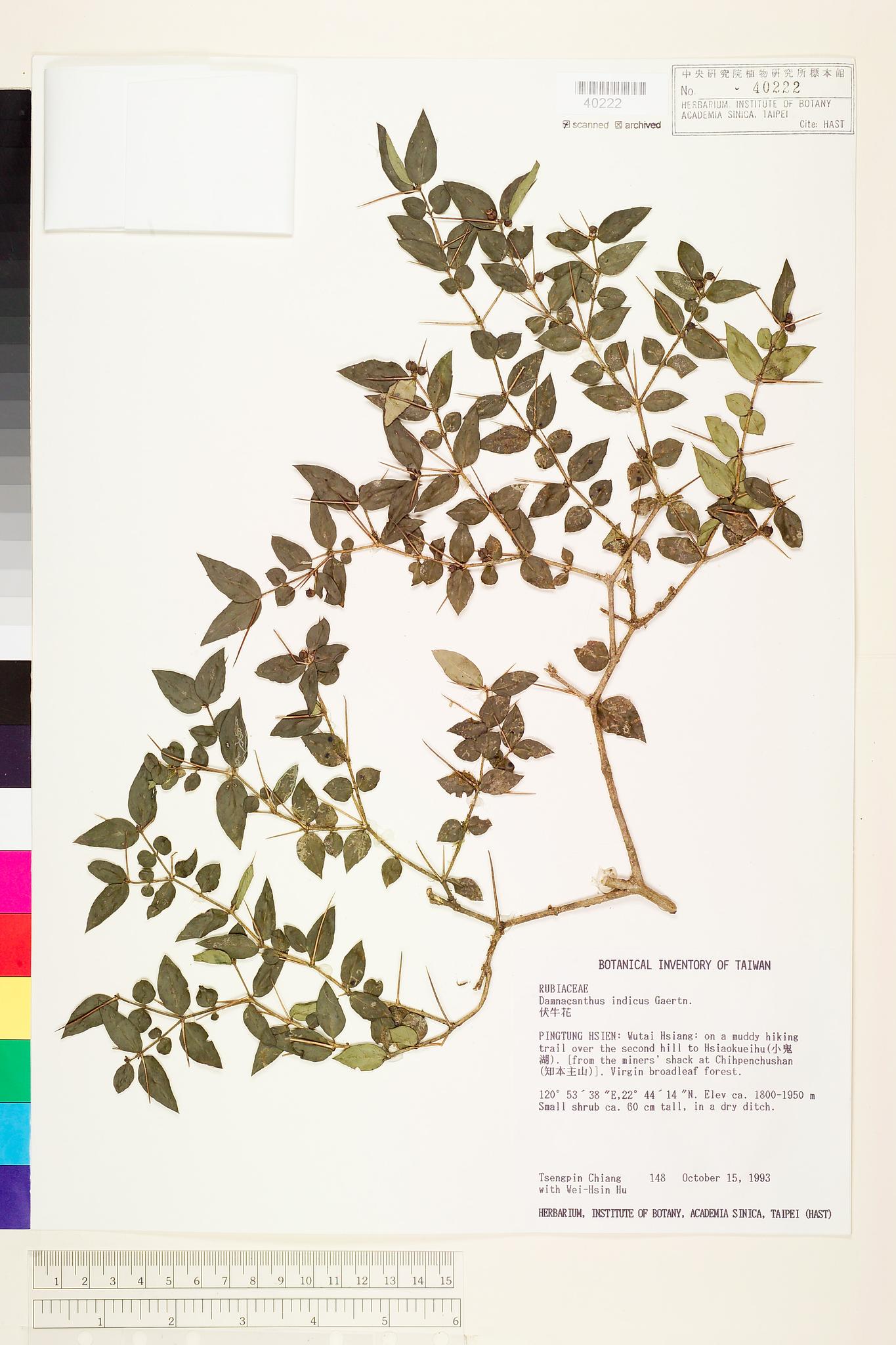 Specimen image