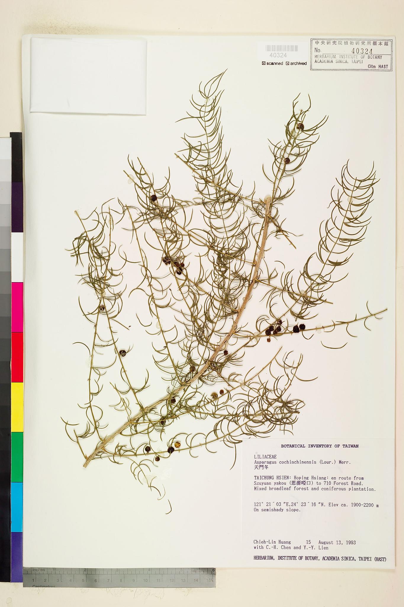 Sample image for viewer