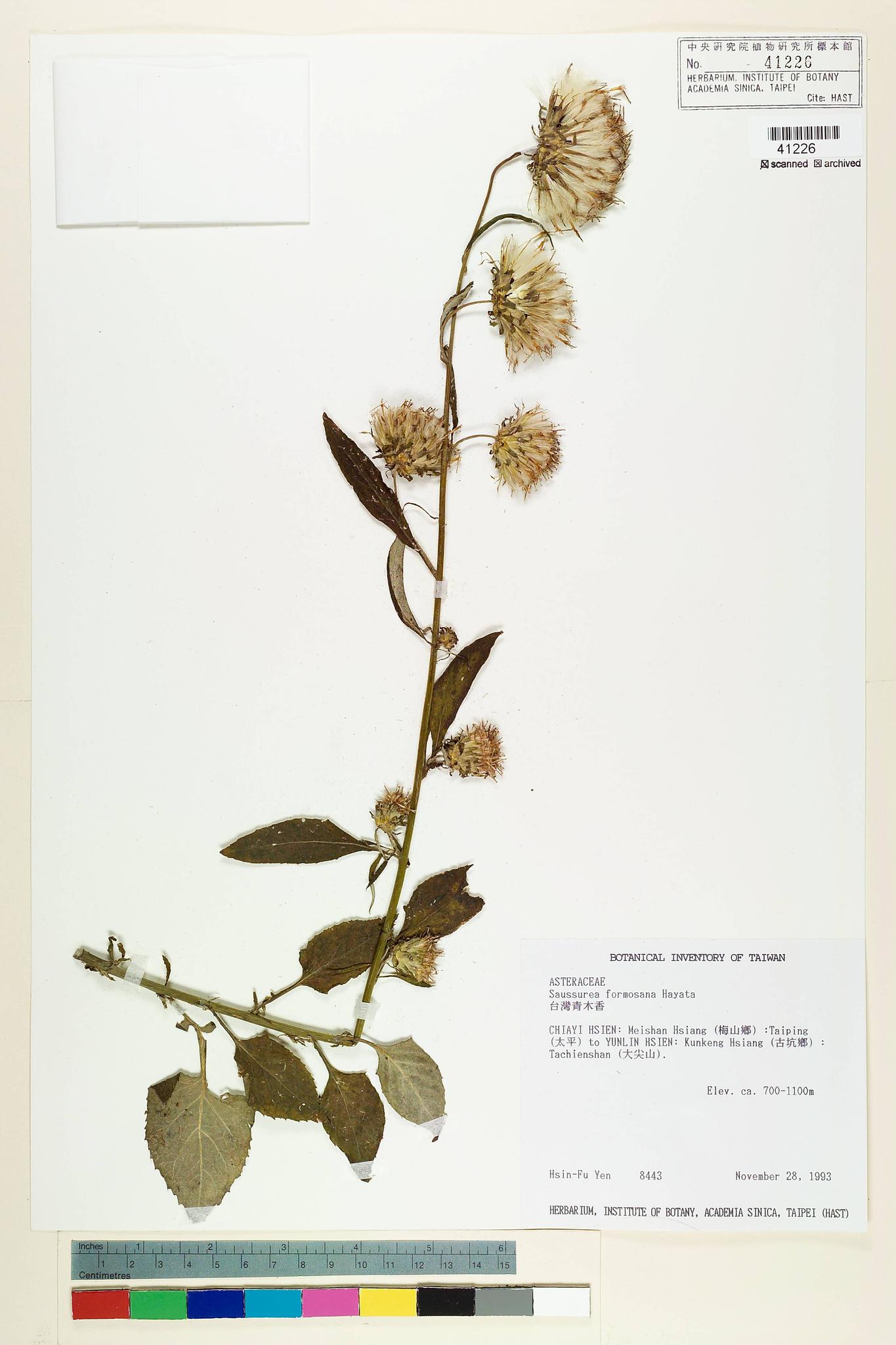 Sample image for viewer