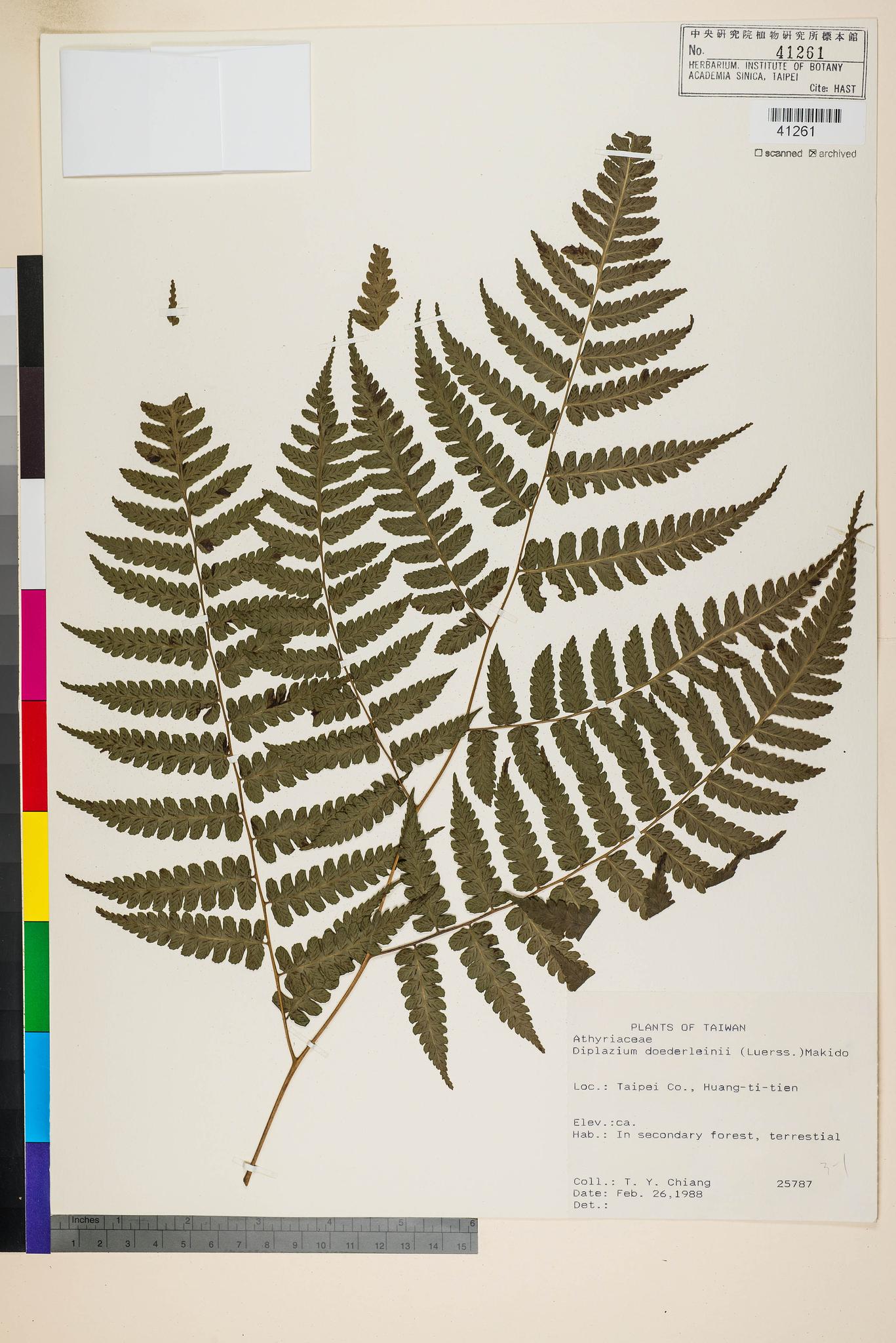 Sample image for viewer