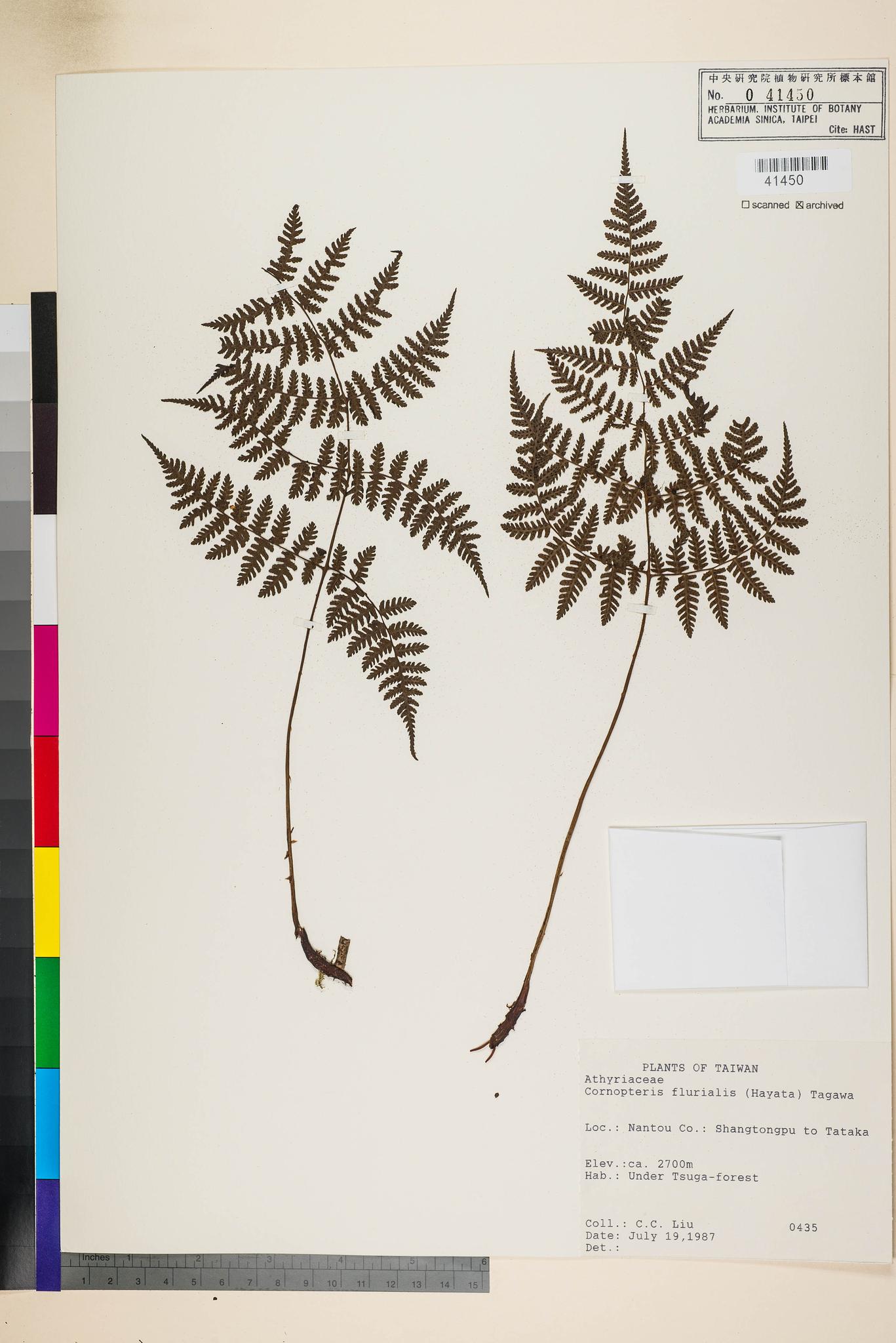 Sample image for viewer