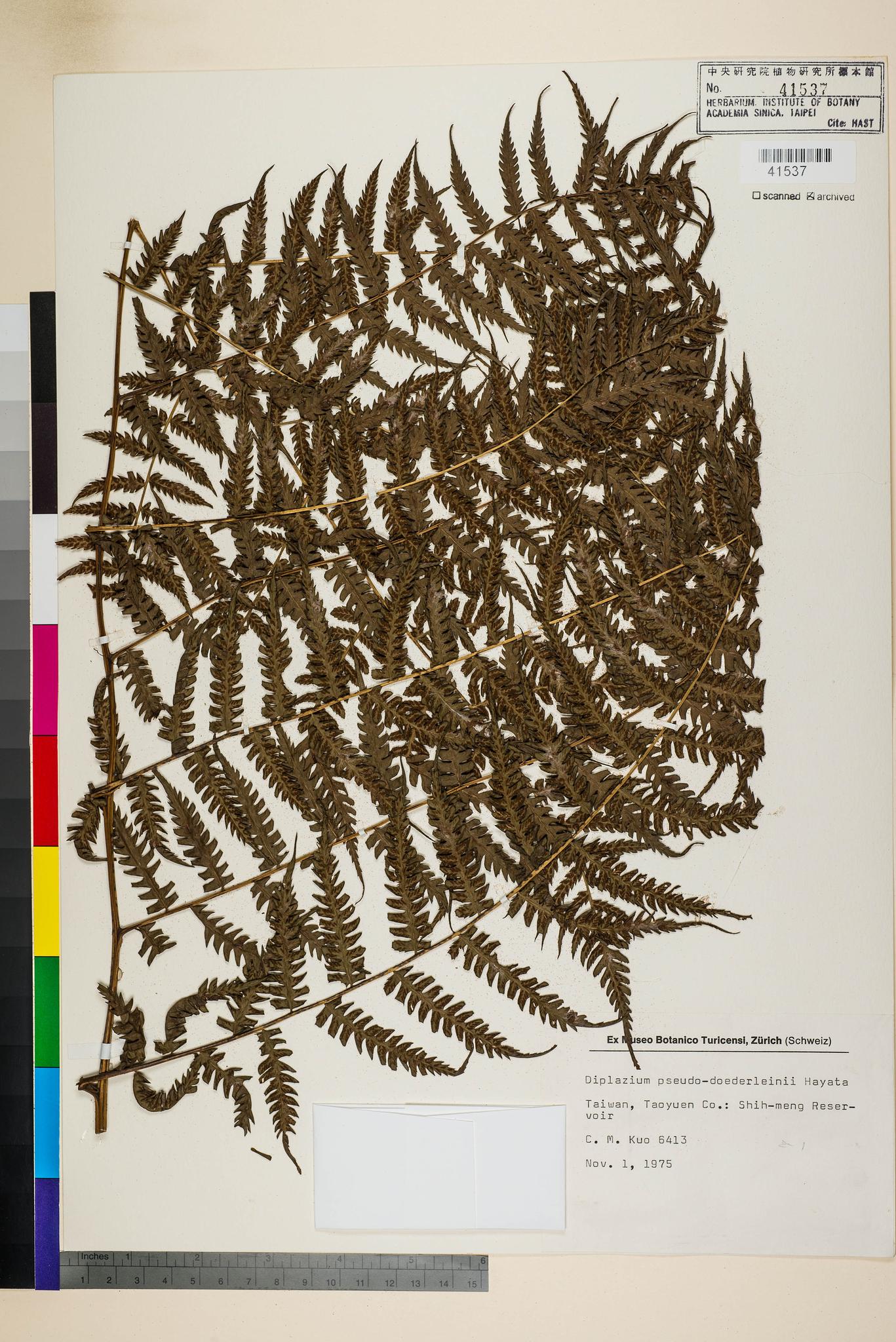 Specimen image