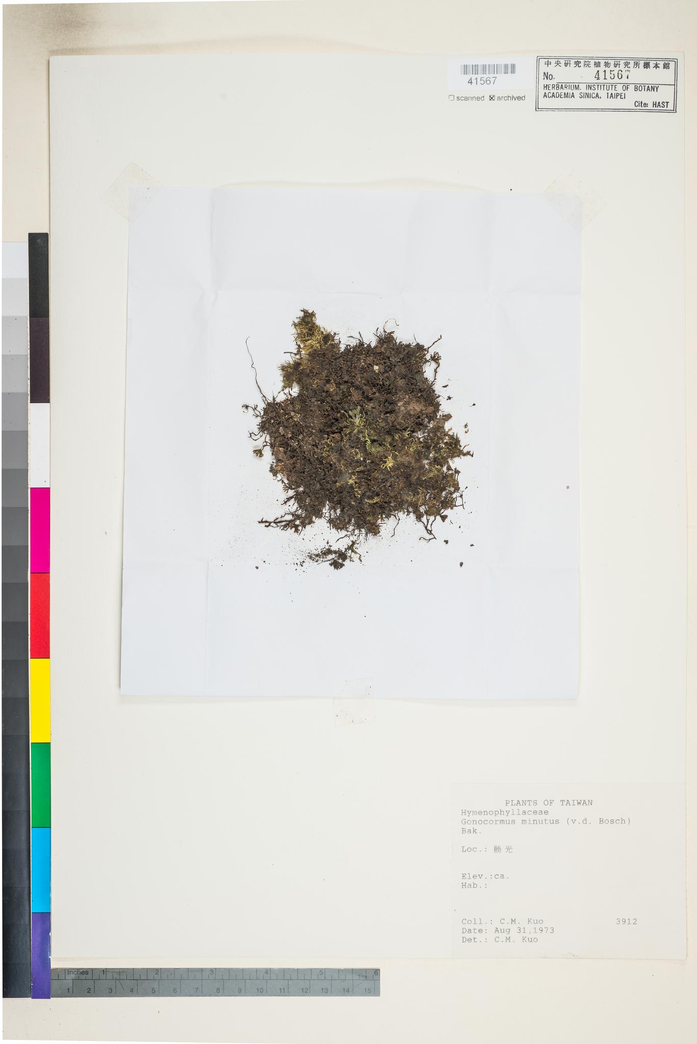 Sample image for viewer