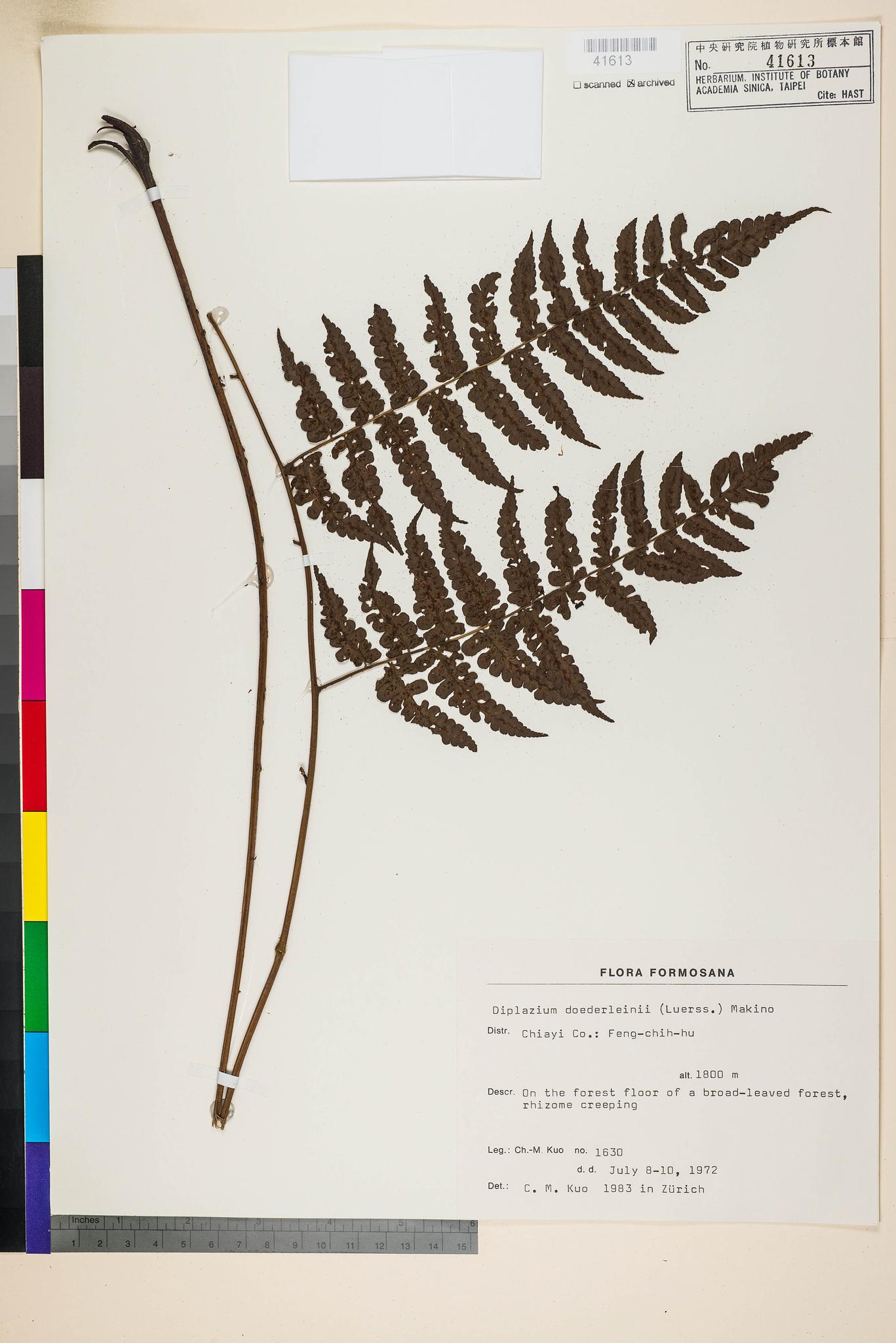 Sample image for viewer