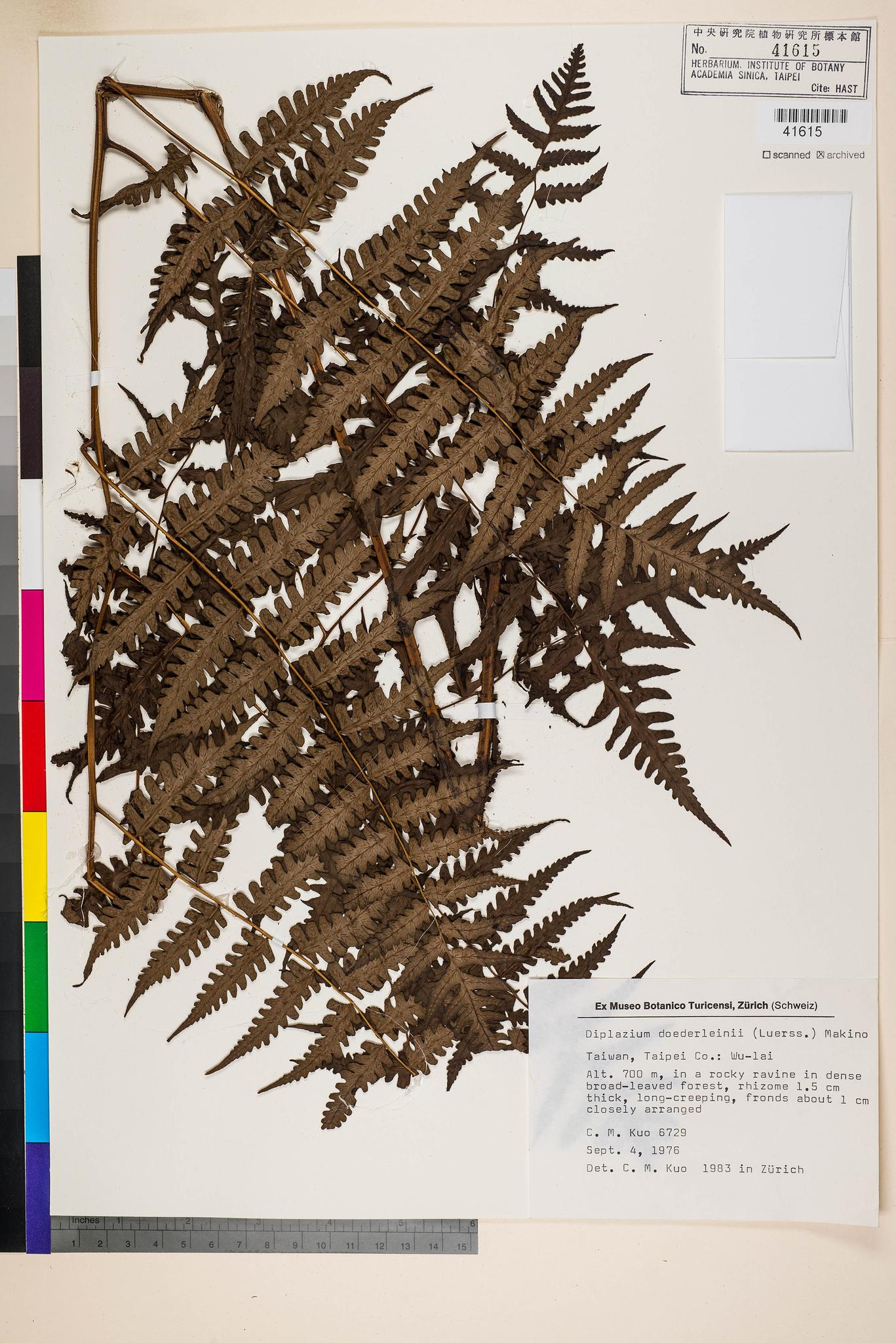 Sample image for viewer