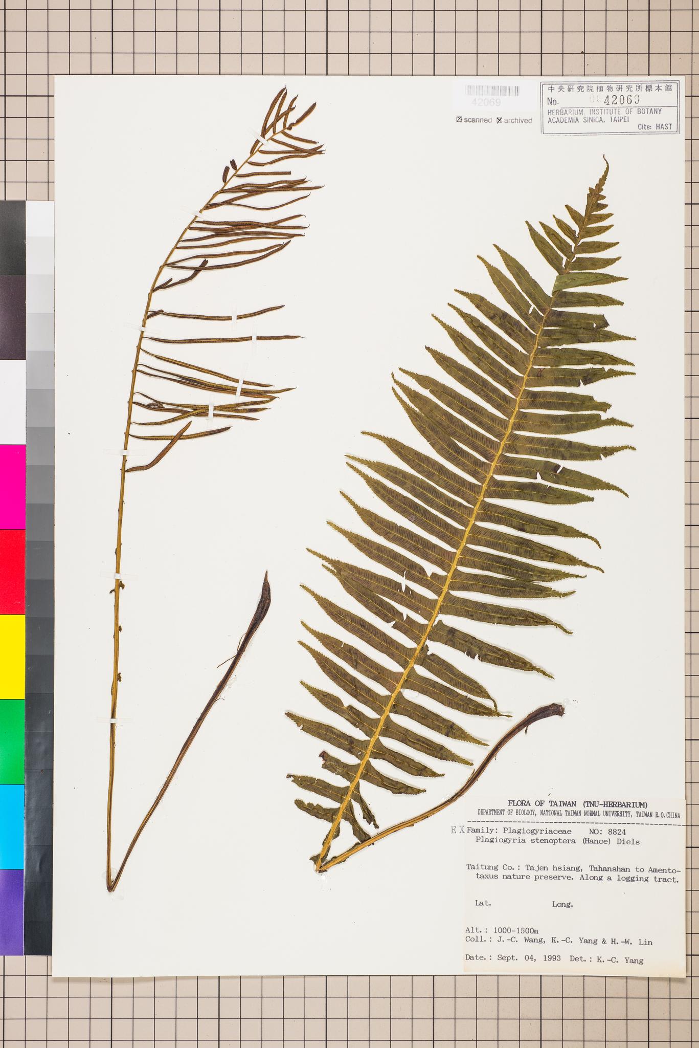 Sample image for viewer