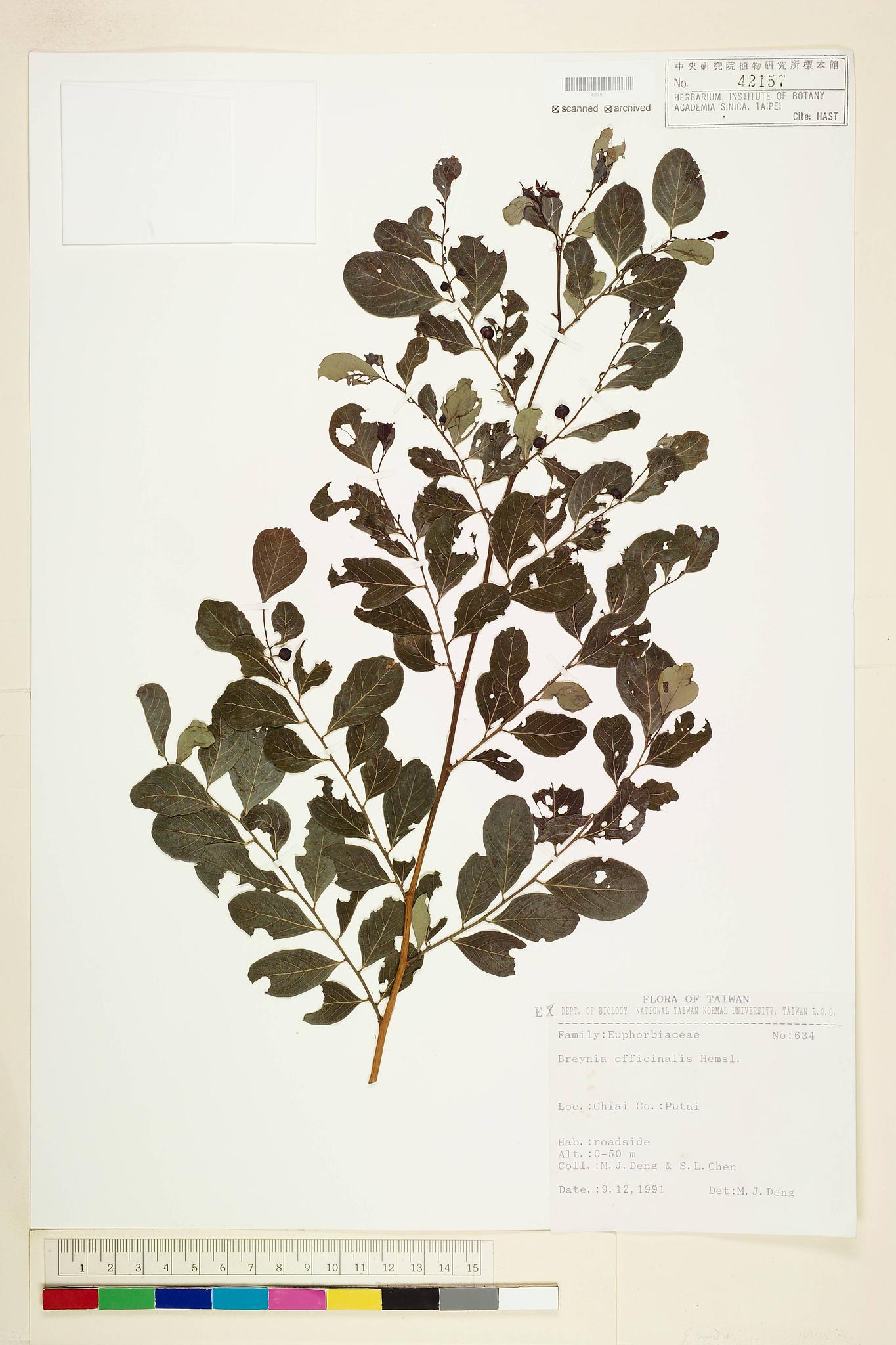 Sample image for viewer