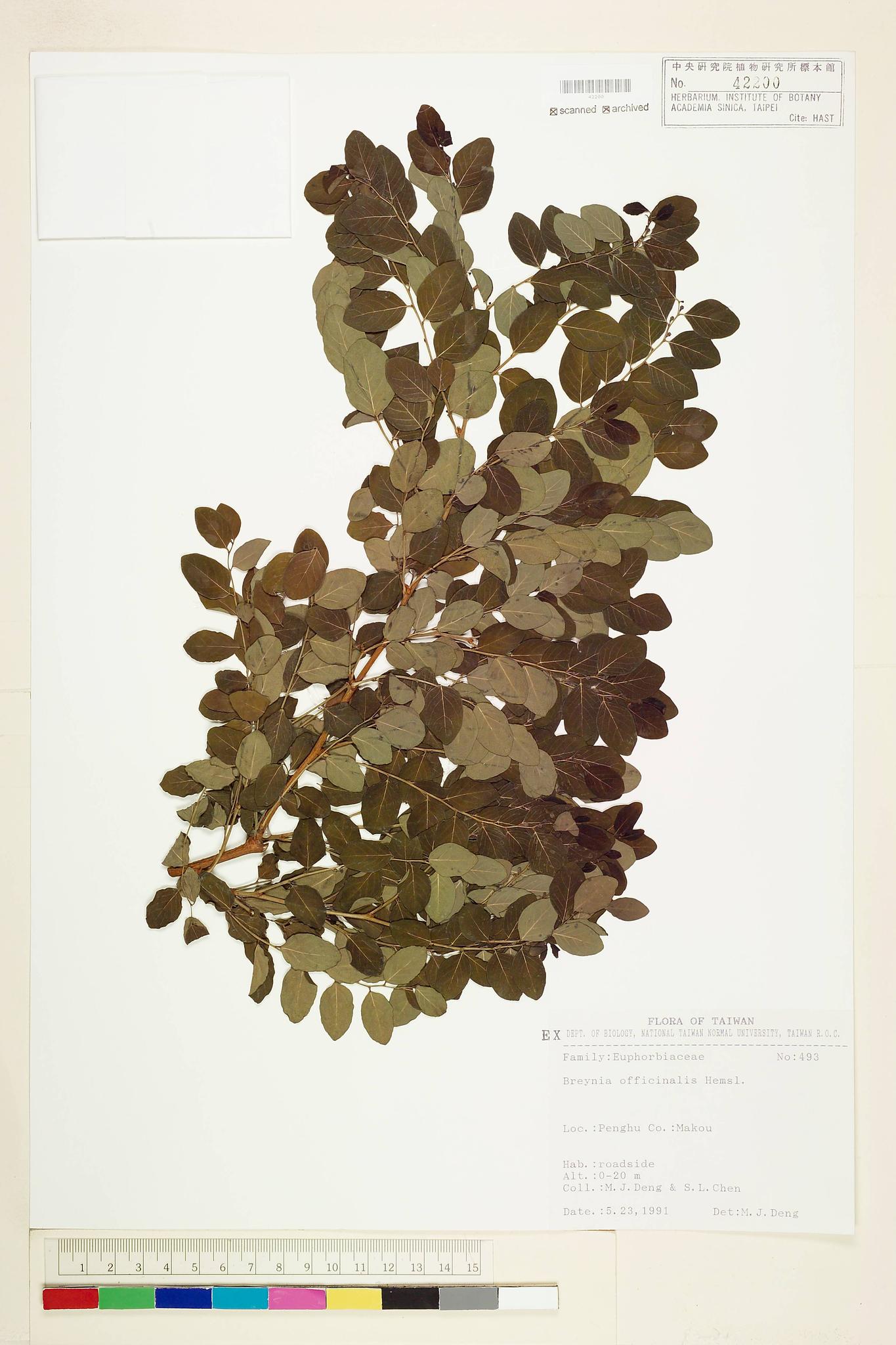 Sample image for viewer