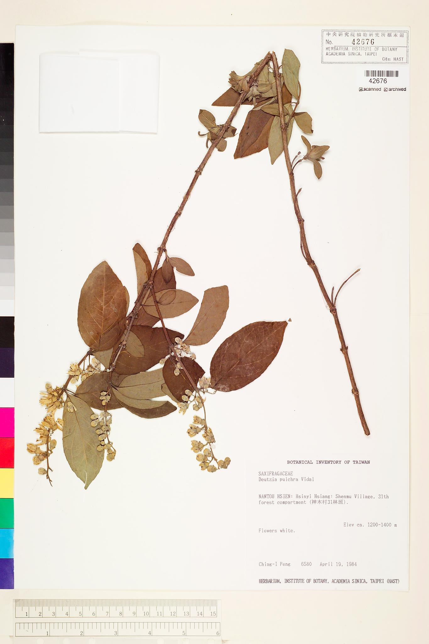 Sample image for viewer