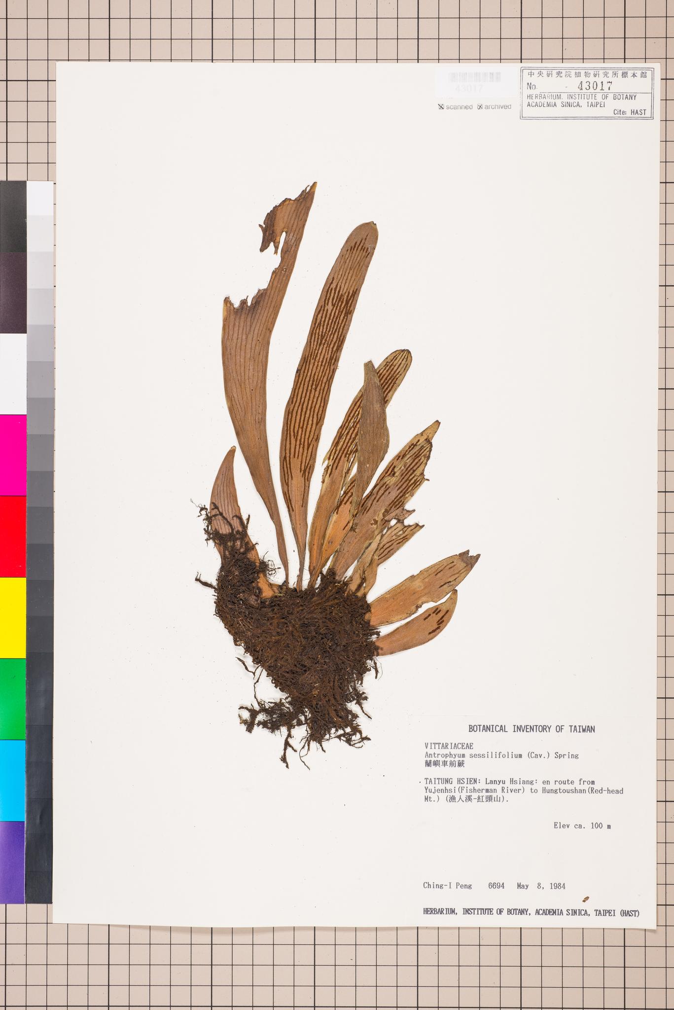 Sample image for viewer